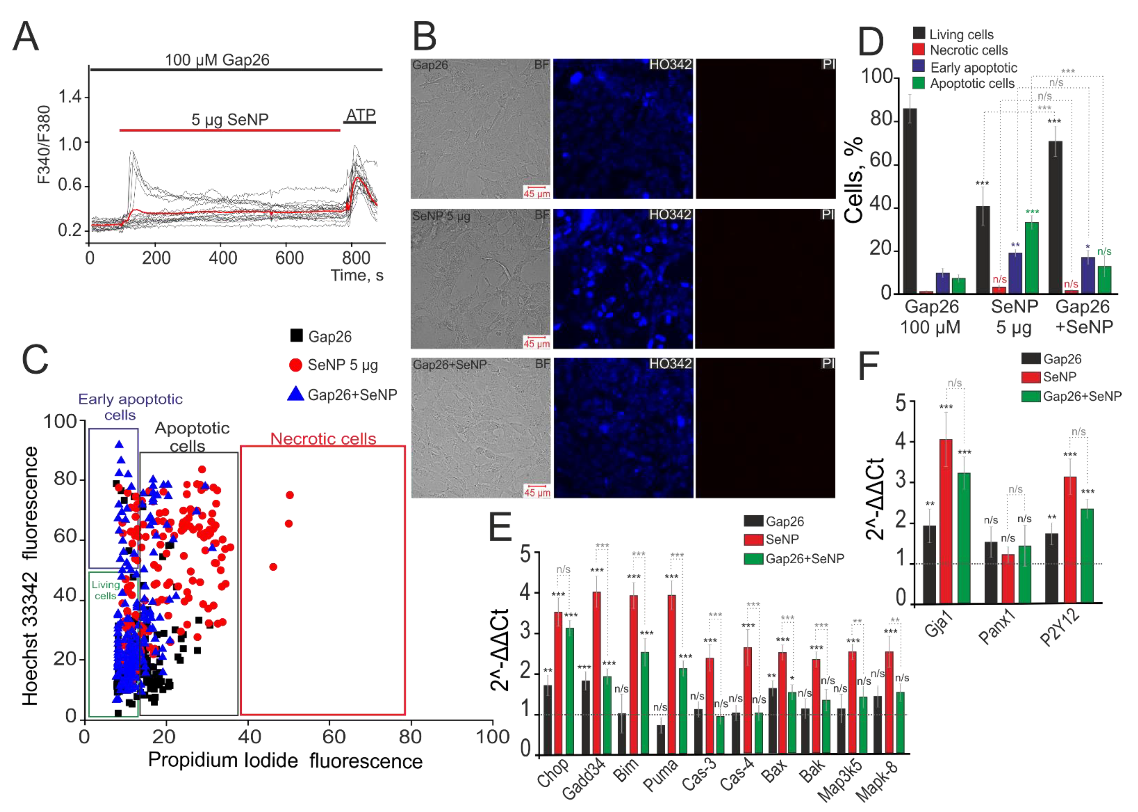 Biology 10 00743 g007