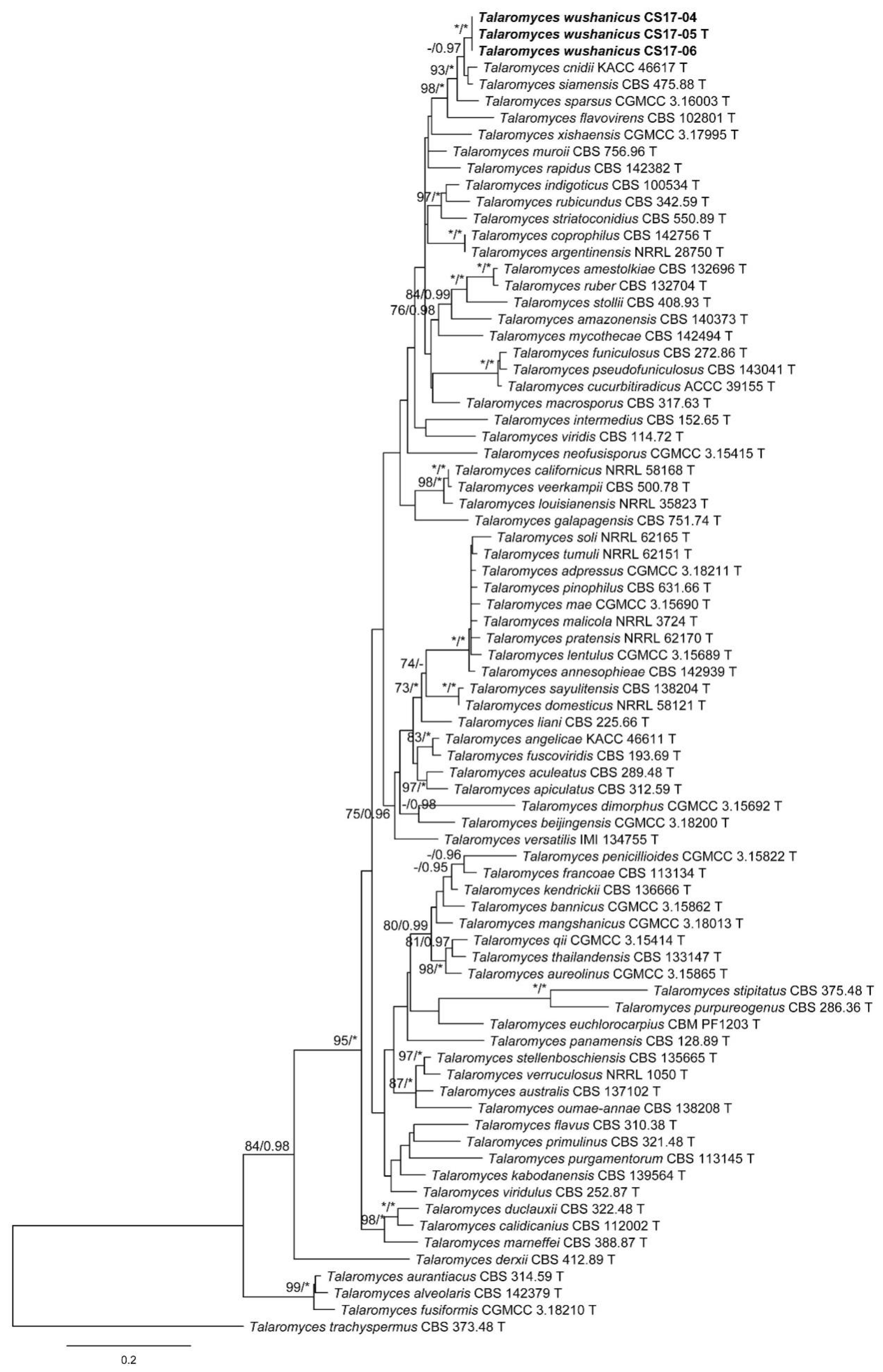 Biology 10 00745 g005