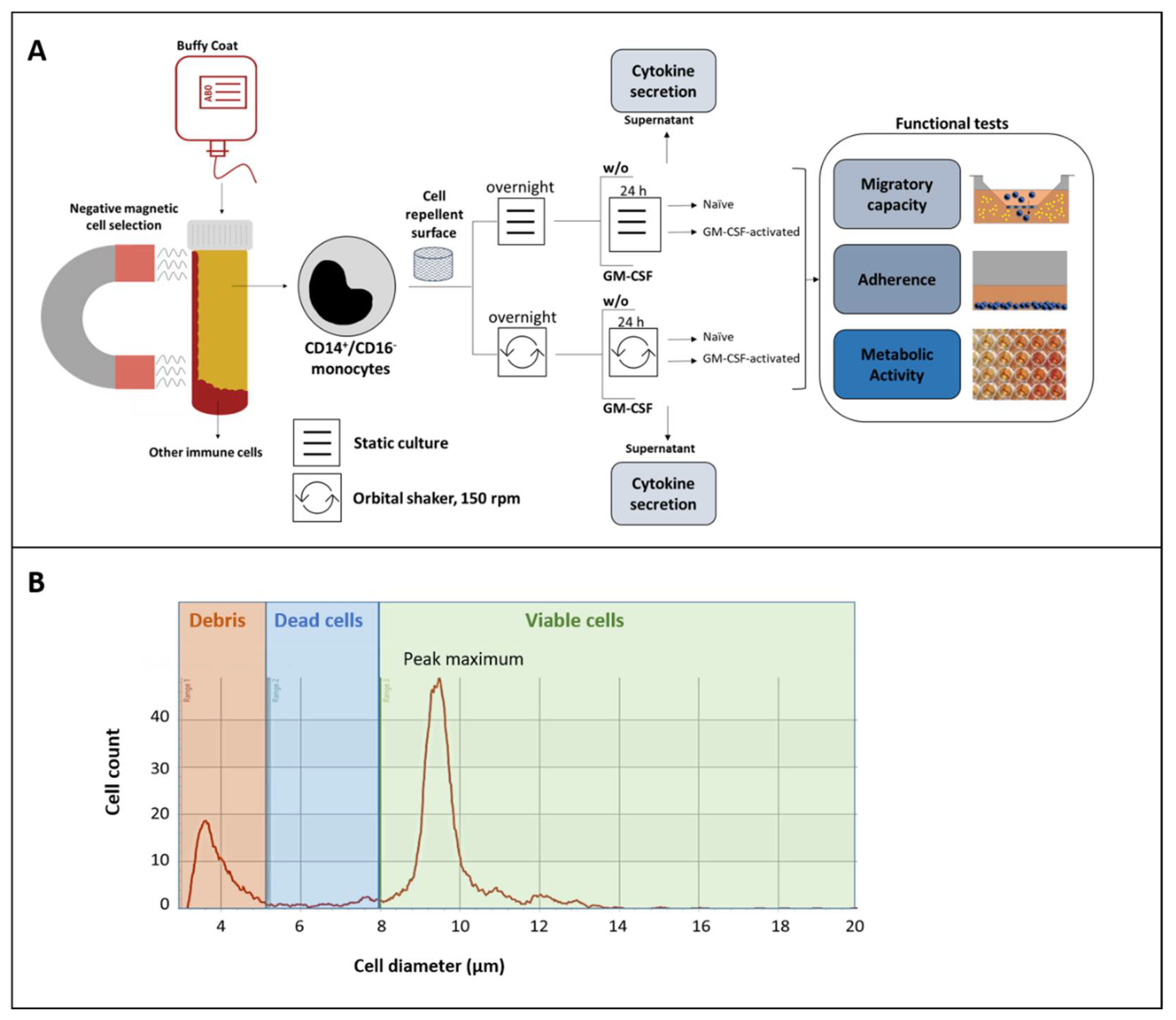 Biology 10 00748 g001 550