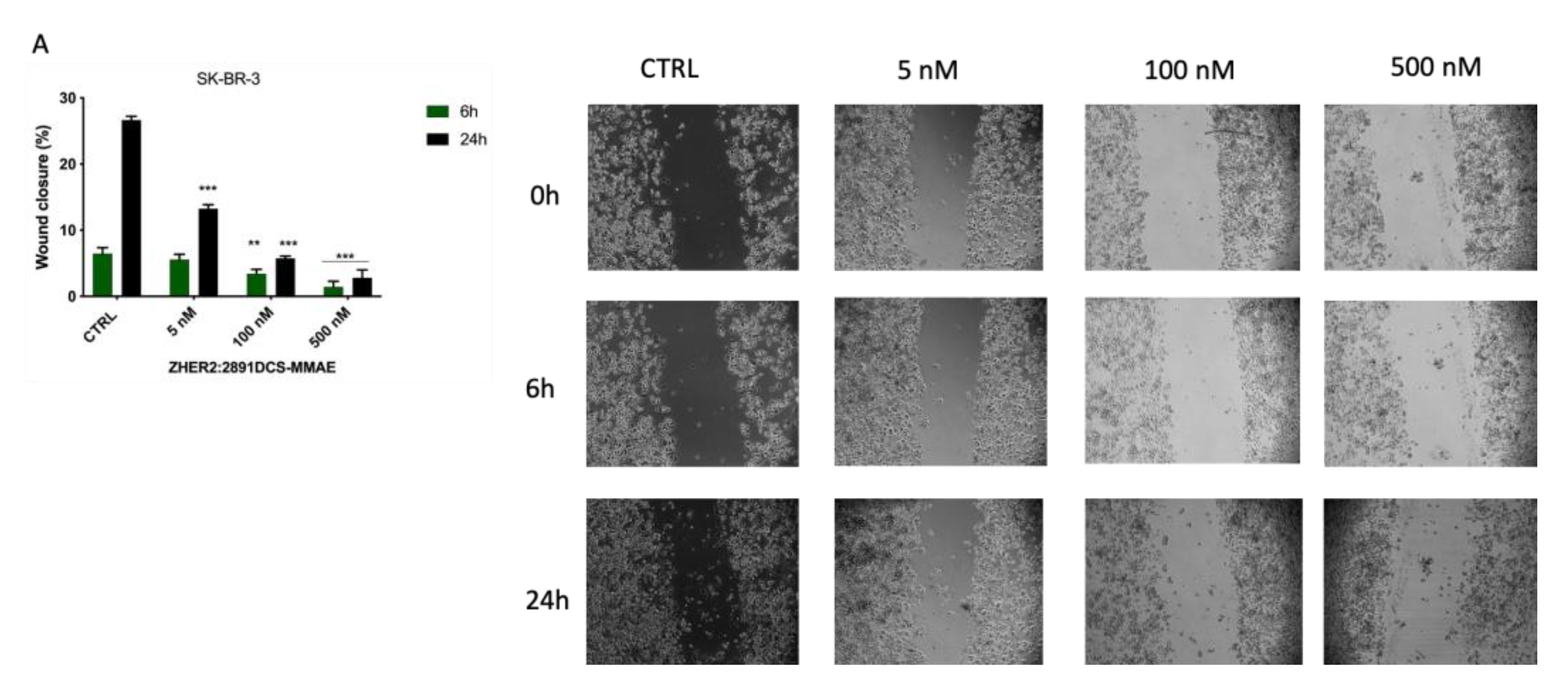Biology 10 00758 g006a 550