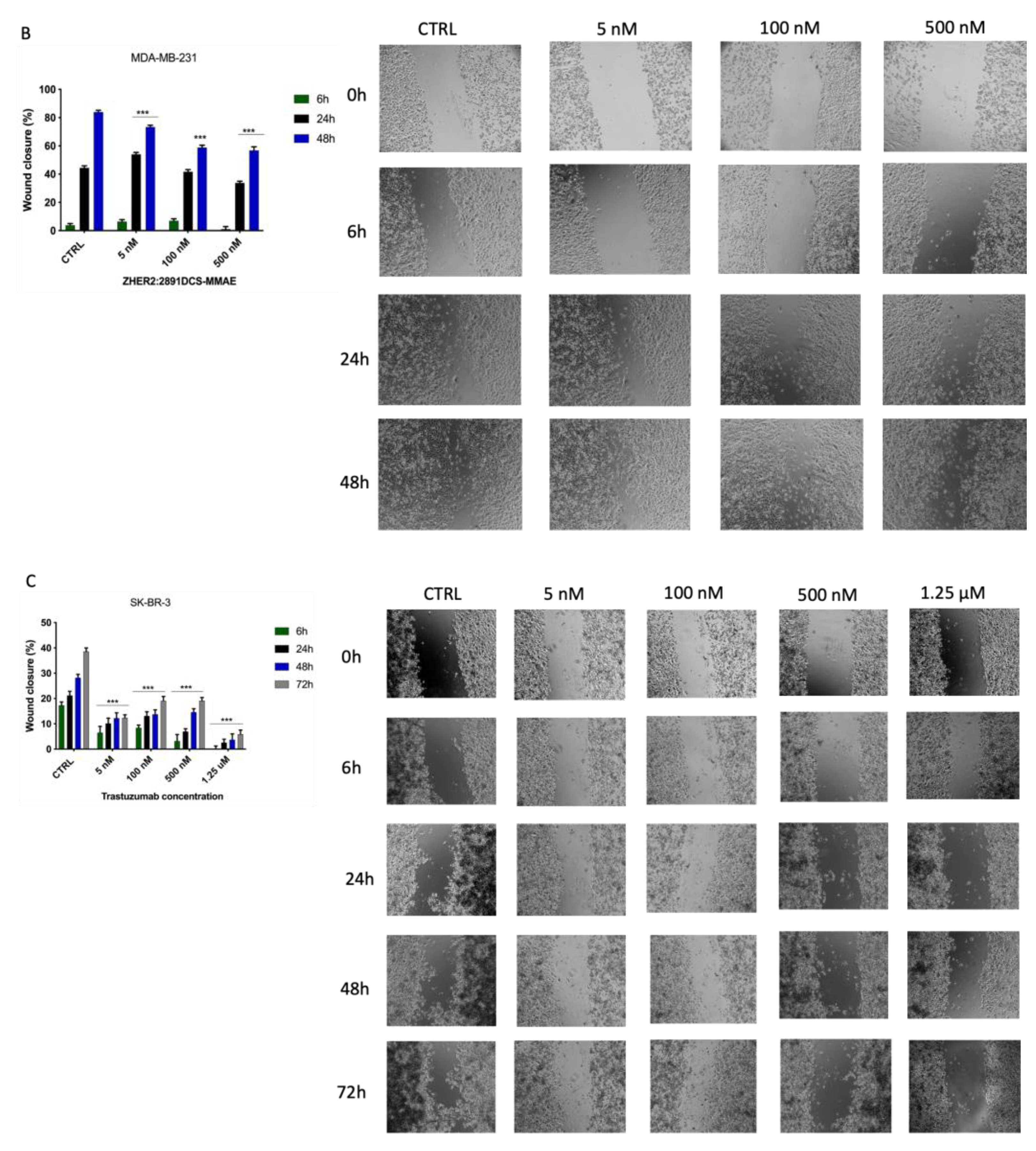 Biology 10 00758 g006b 550