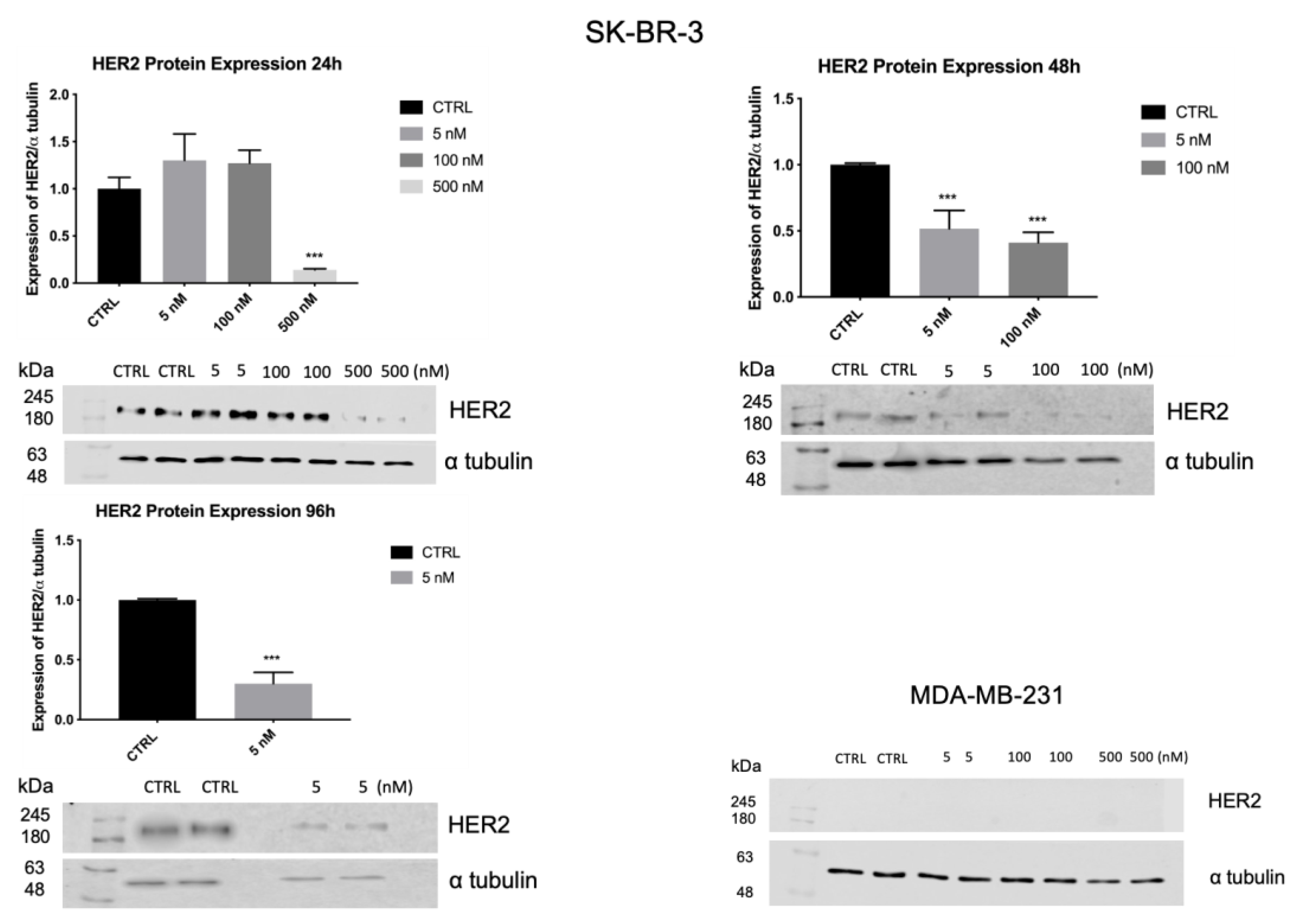 Biology 10 00758 g010 550