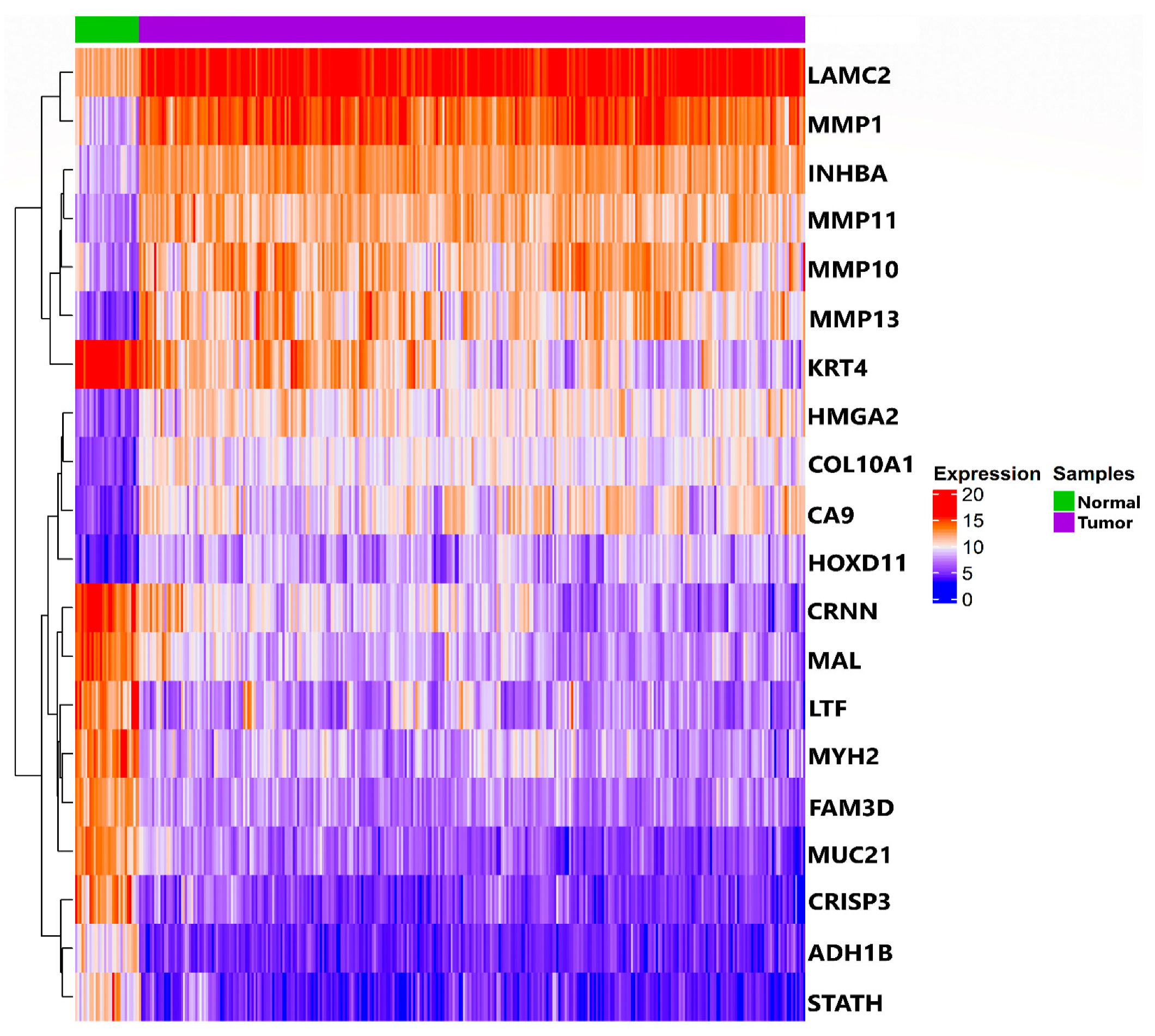 Biology 10 00760 g002