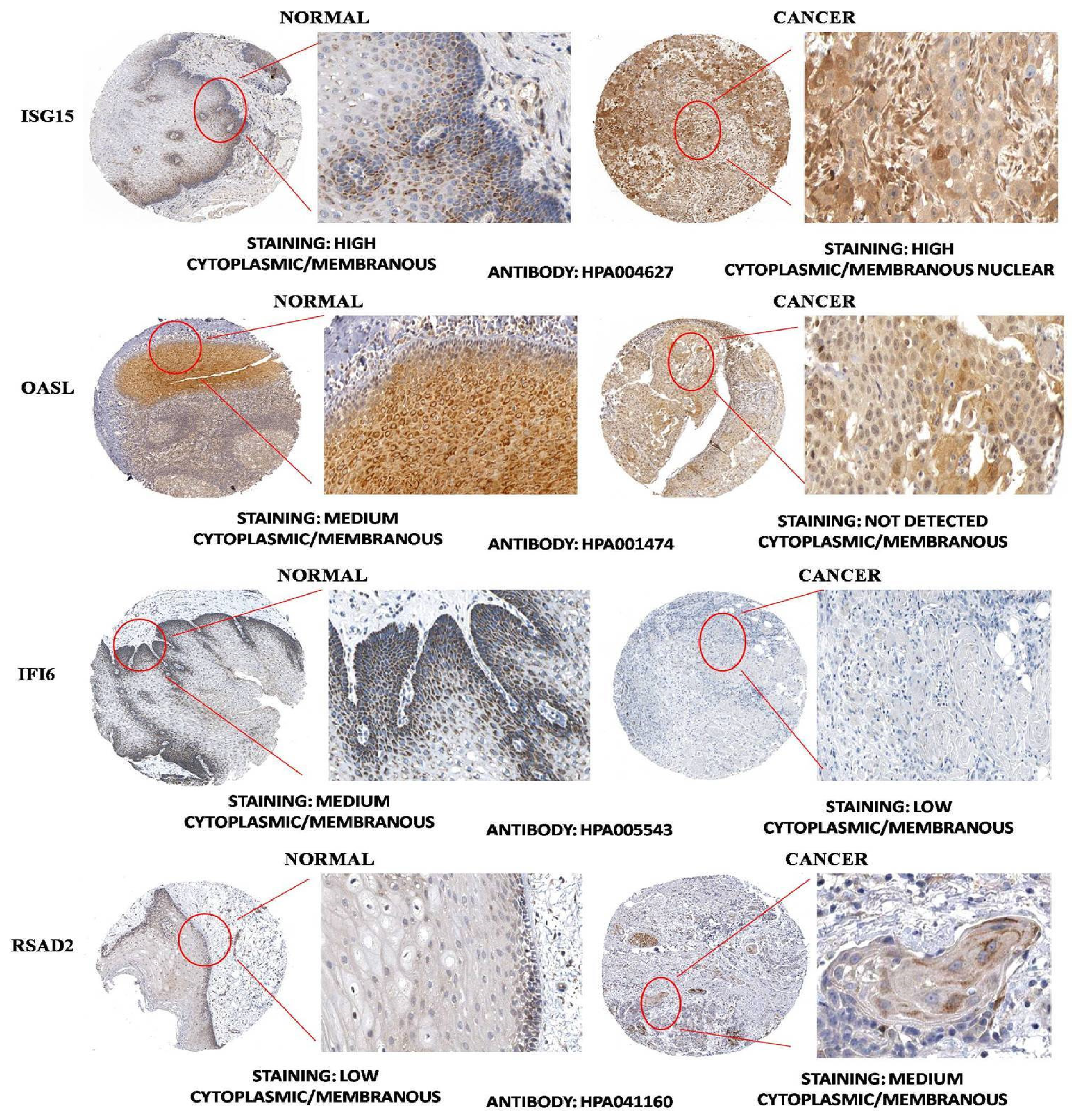 Biology 10 00760 g008