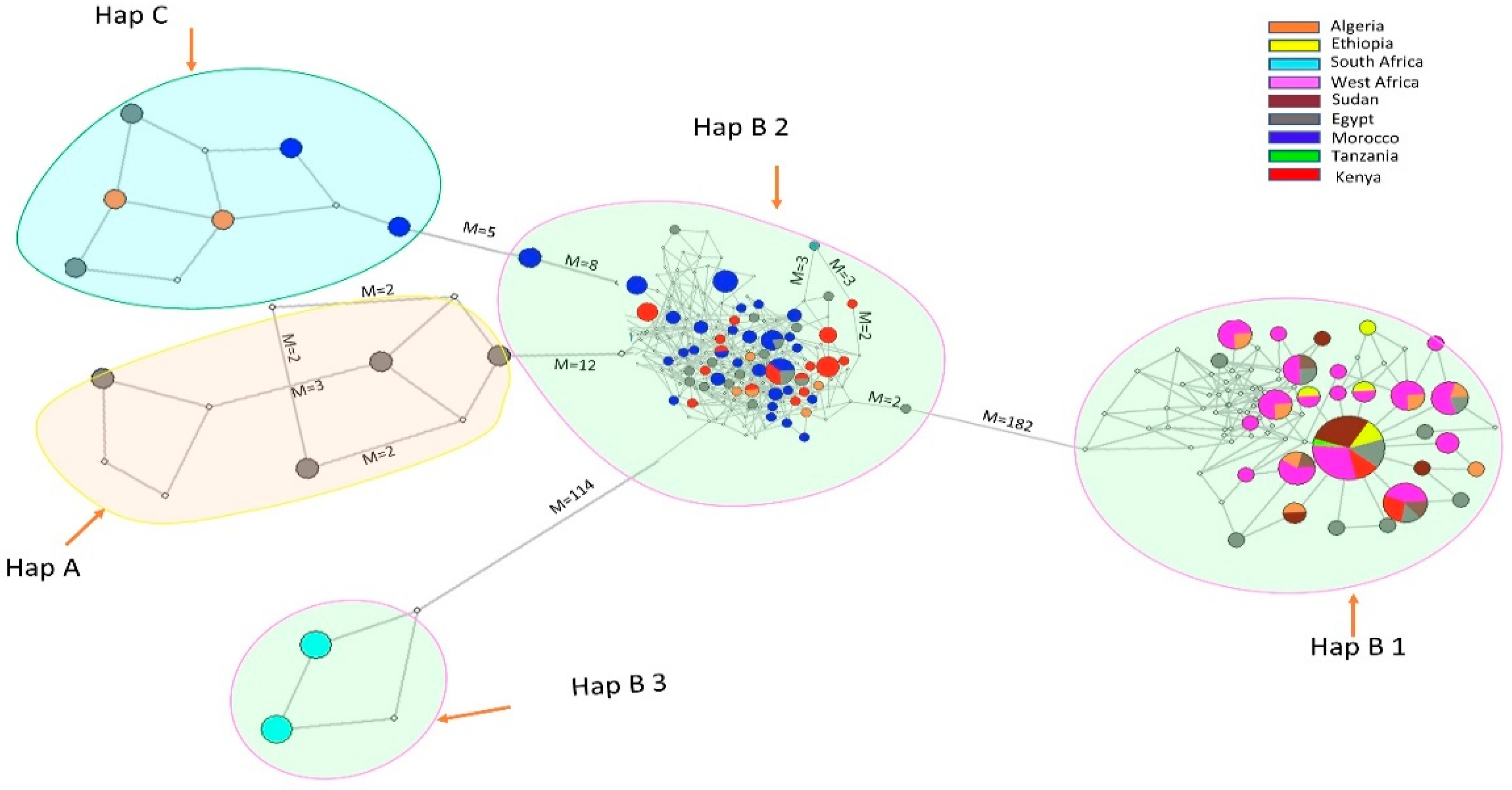 Biology 10 00762 g002