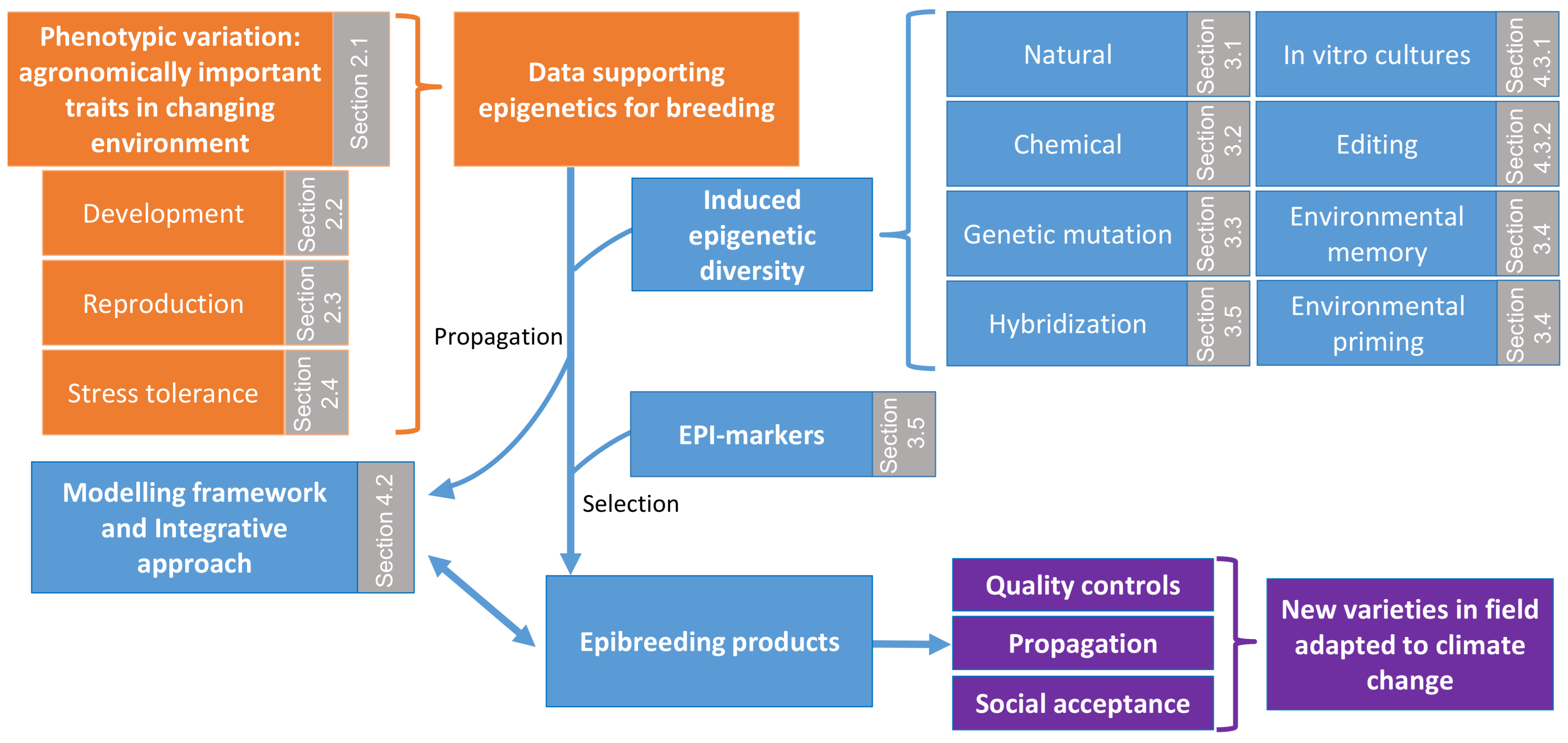 Biology 10 00766 g001
