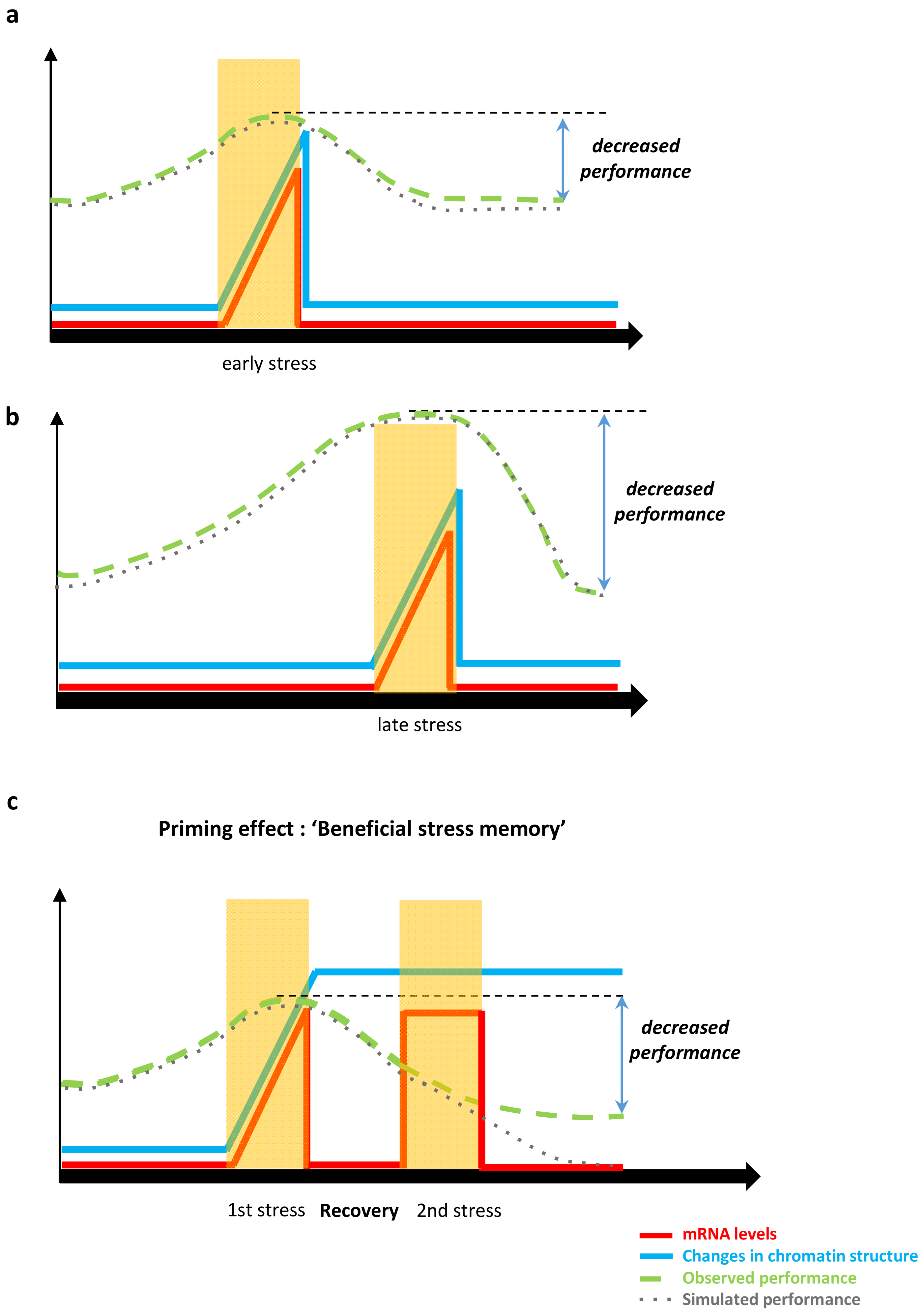 Biology Free Full Text Epigenetics For Crop Improvement In Times Of Global Change Html