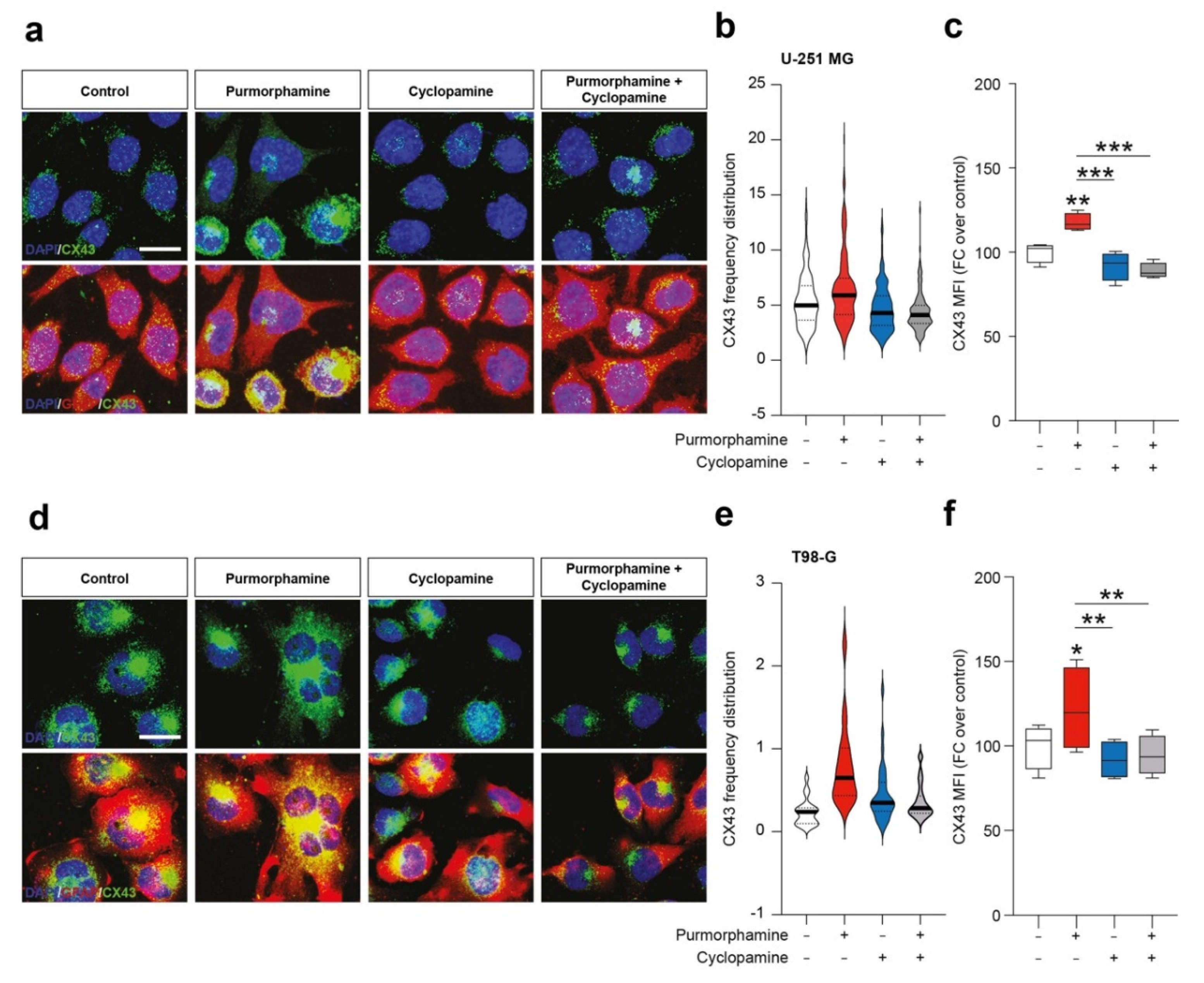 Biology 10 00767 g003