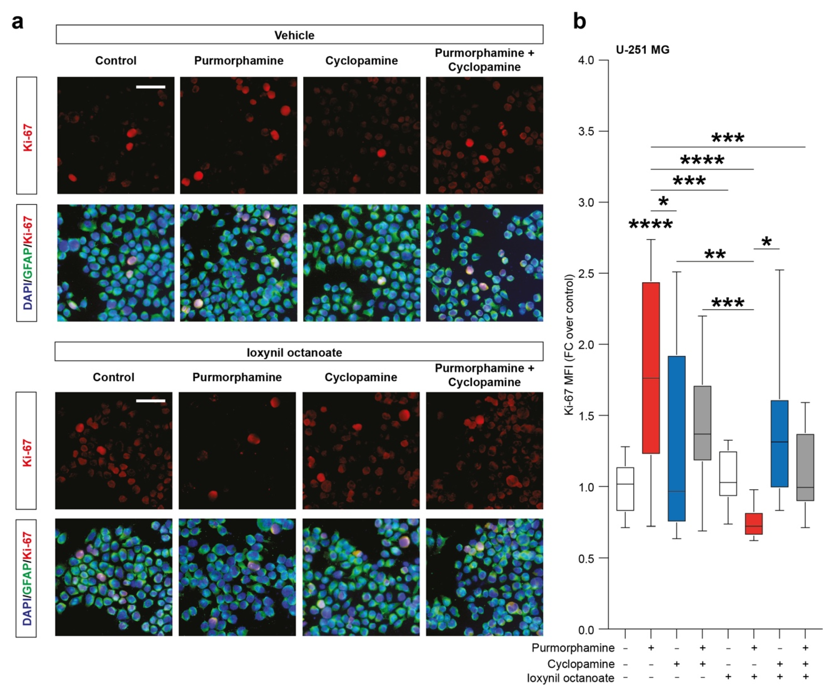 Biology 10 00767 g004