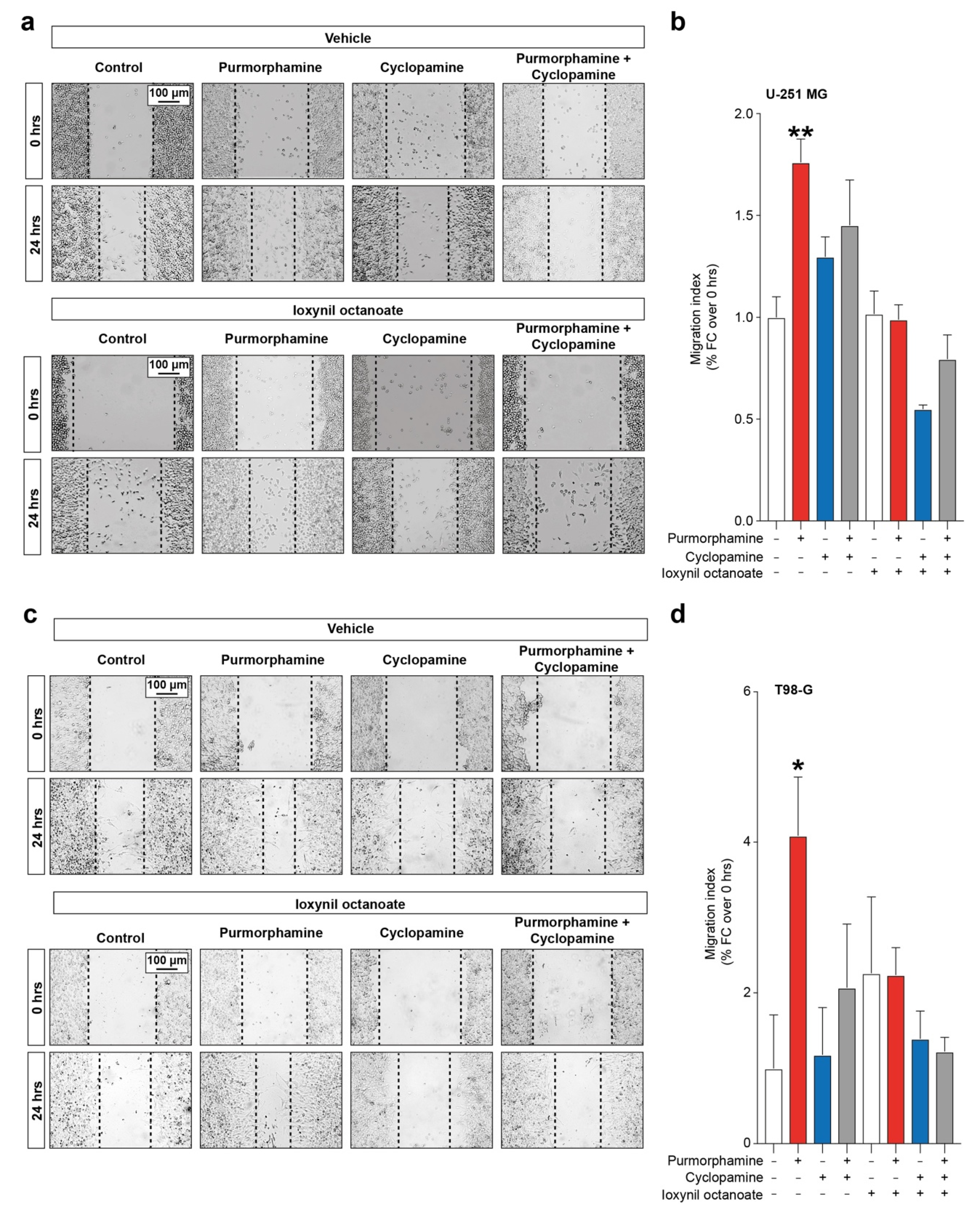 Biology 10 00767 g005