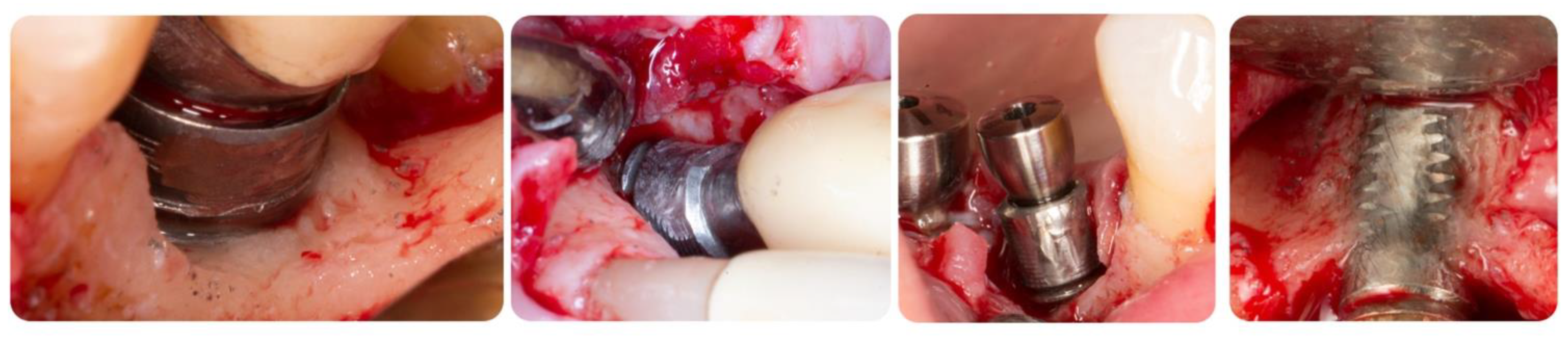 Biology 10 00773 g008 550