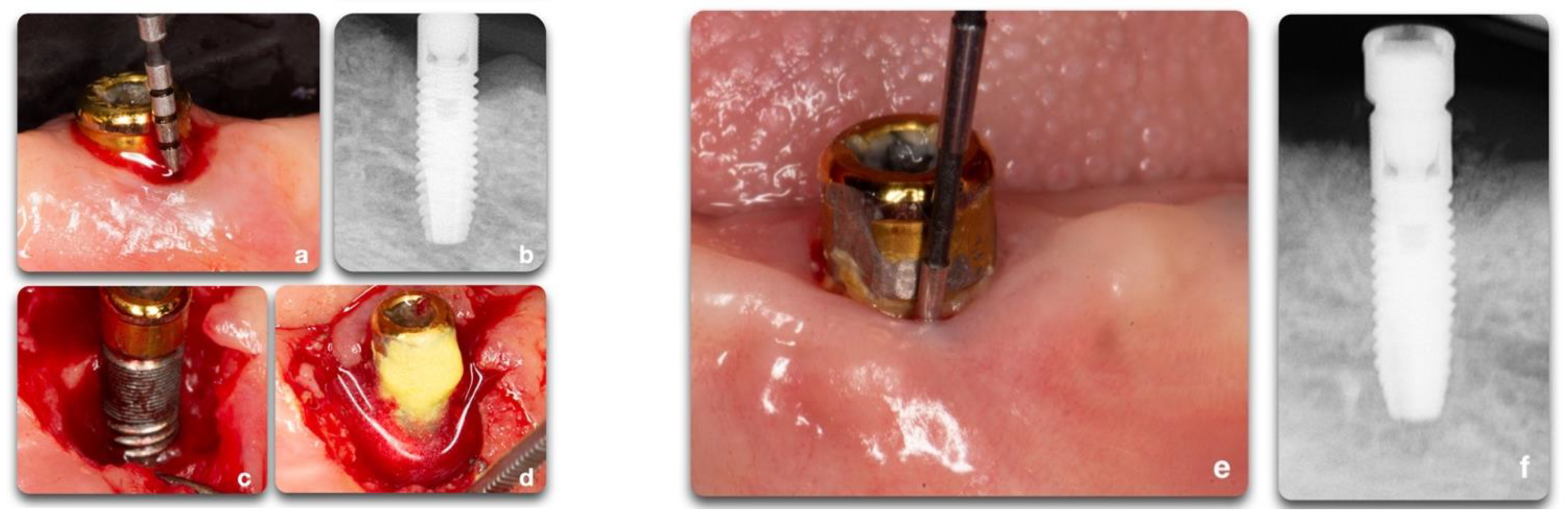 Biology 10 00773 g010 550