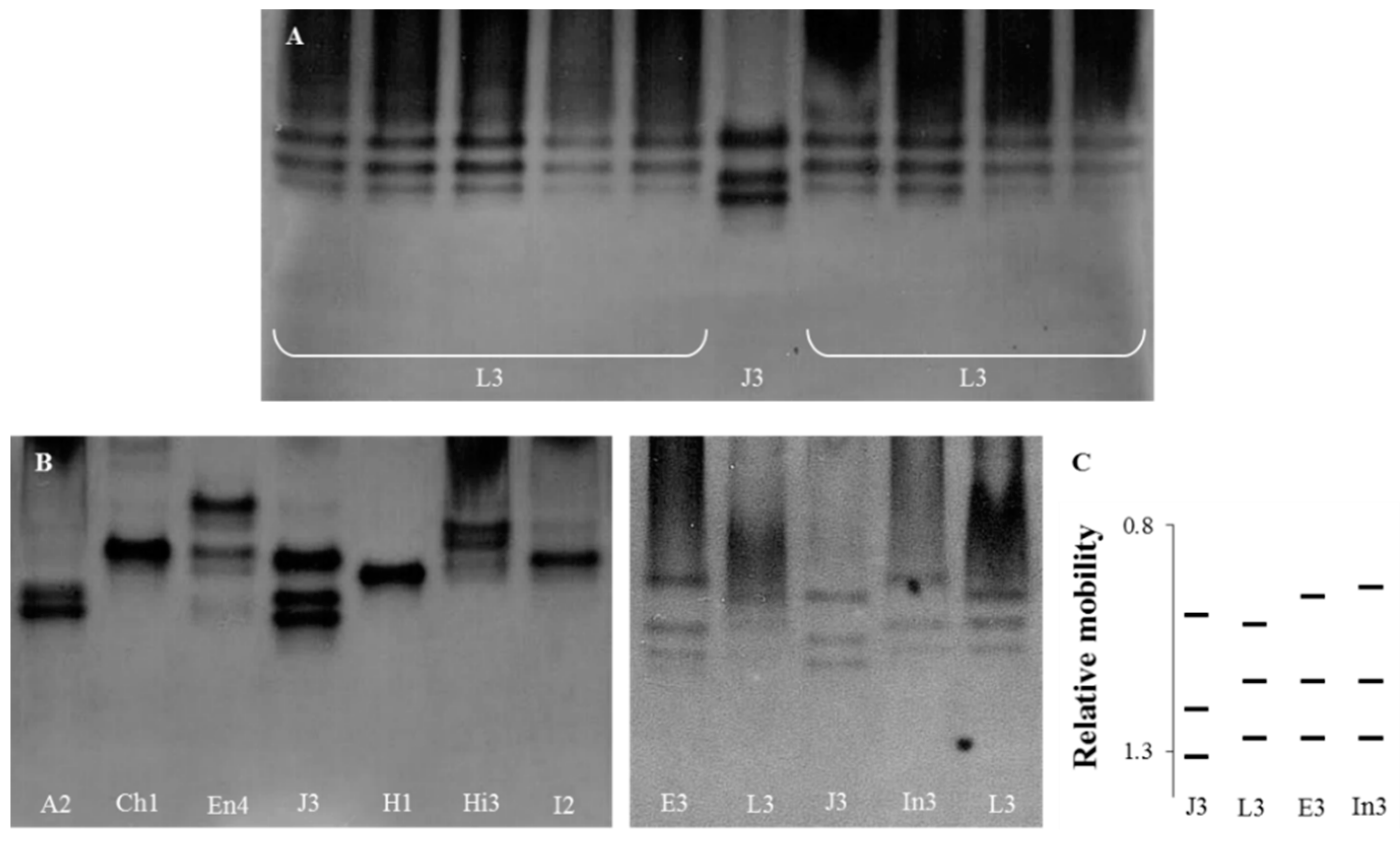 Biology 10 00775 g001