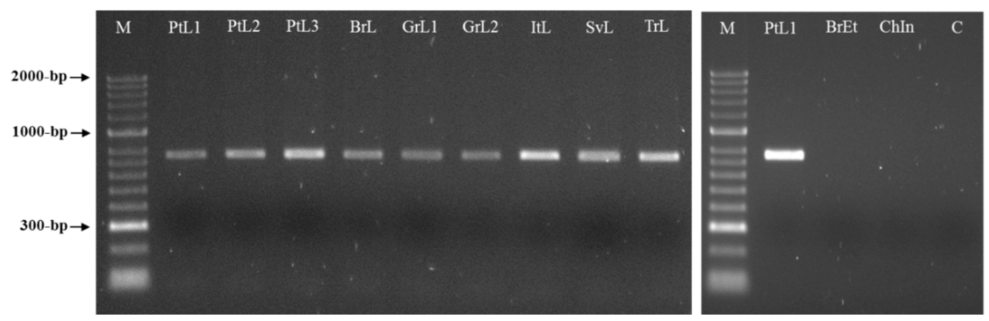 Biology 10 00775 g003