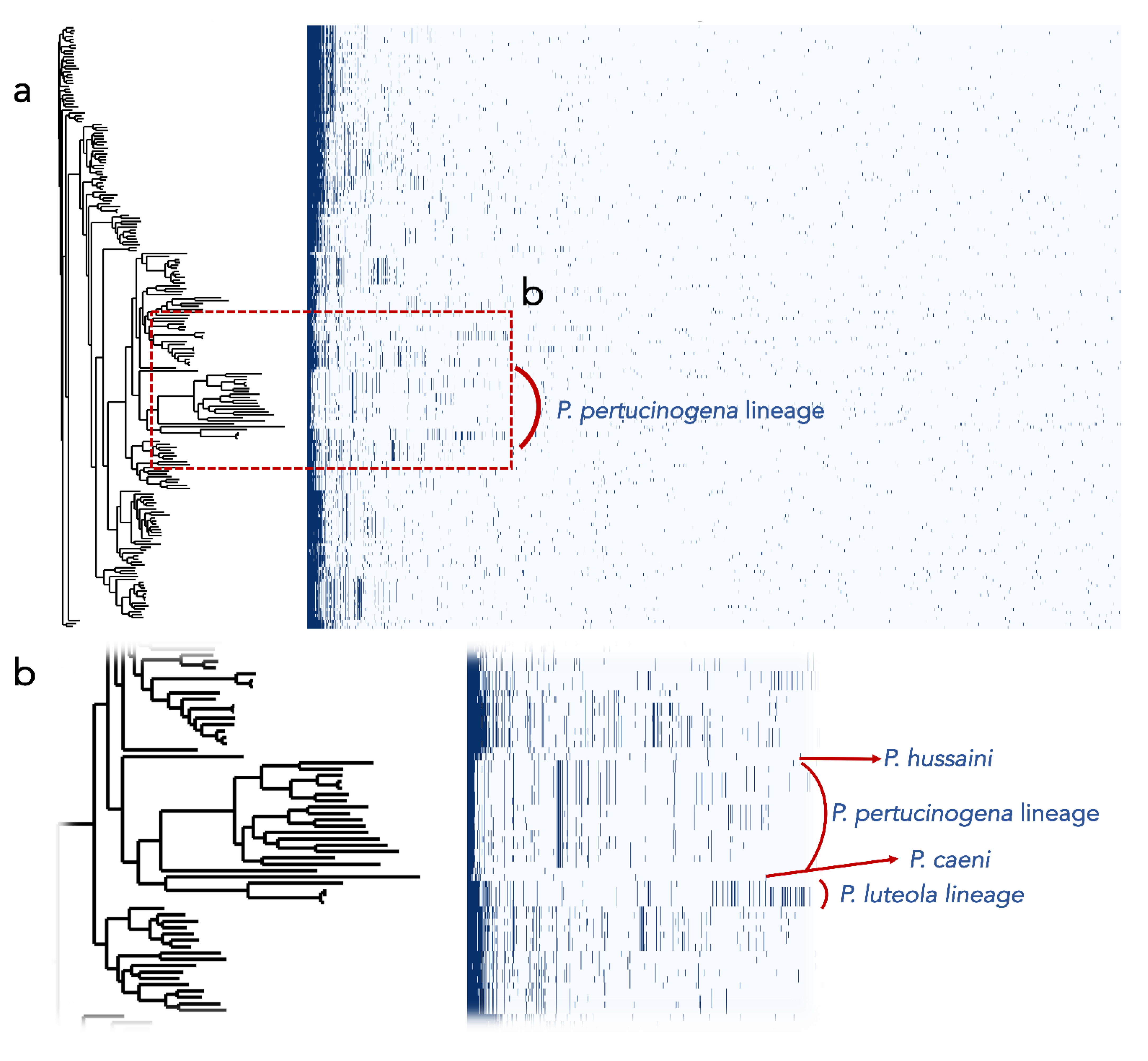 Biology 10 00782 g003 Biology 10 00782 g003