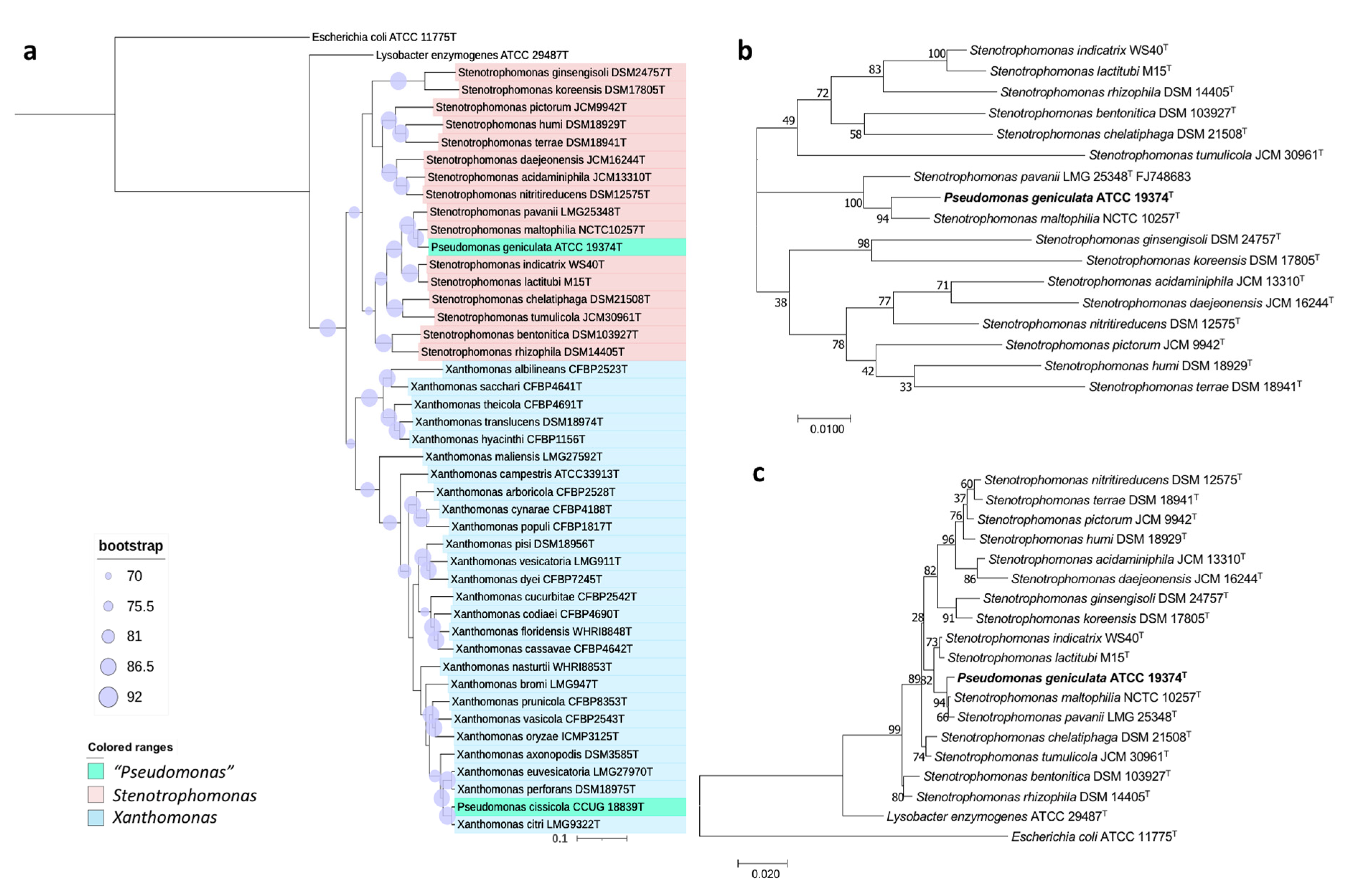 Biology 10 00782 g004 Biology 10 00782 g004