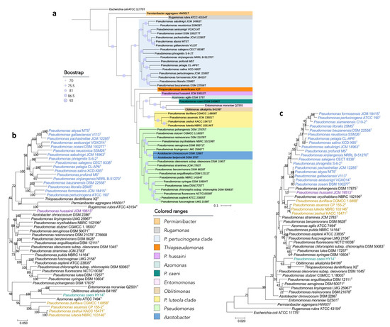 Phylogenomic Analyses of the Genus Pseudomonas Lead to the