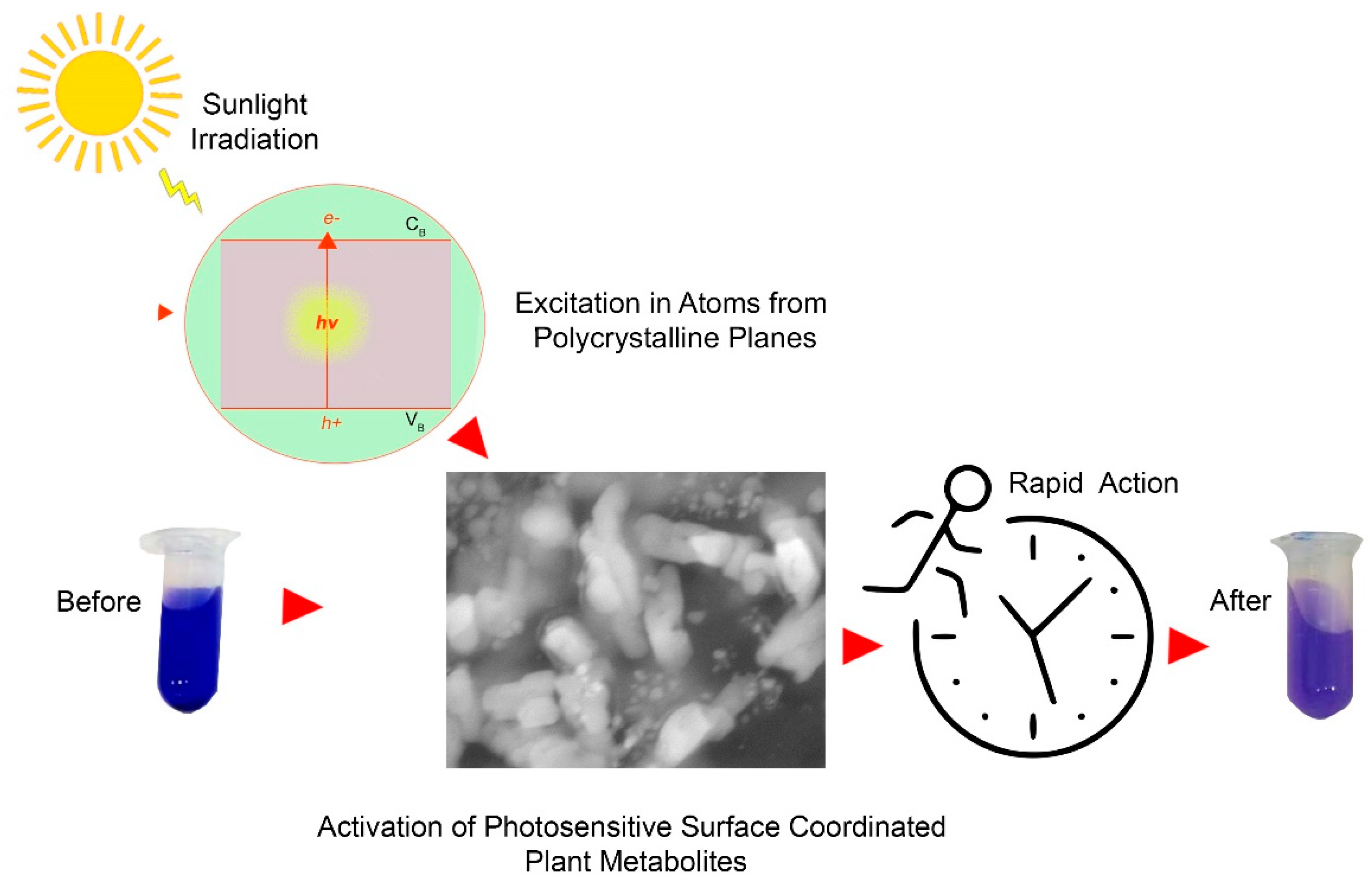 Biology 10 00784 g008