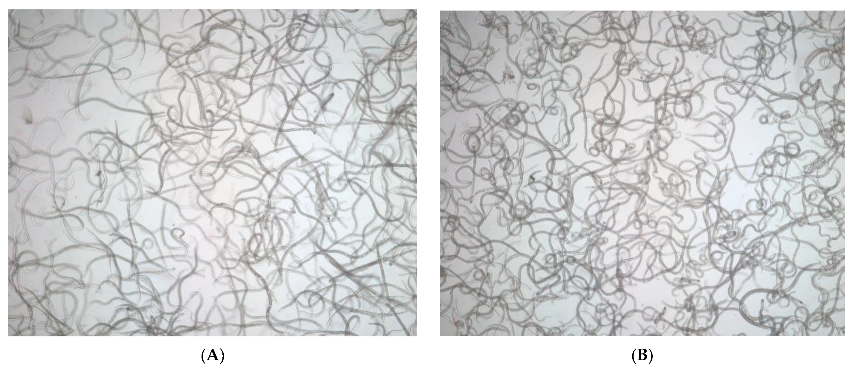 Biology 10 00785 g003a Biology 10 00785 g003a