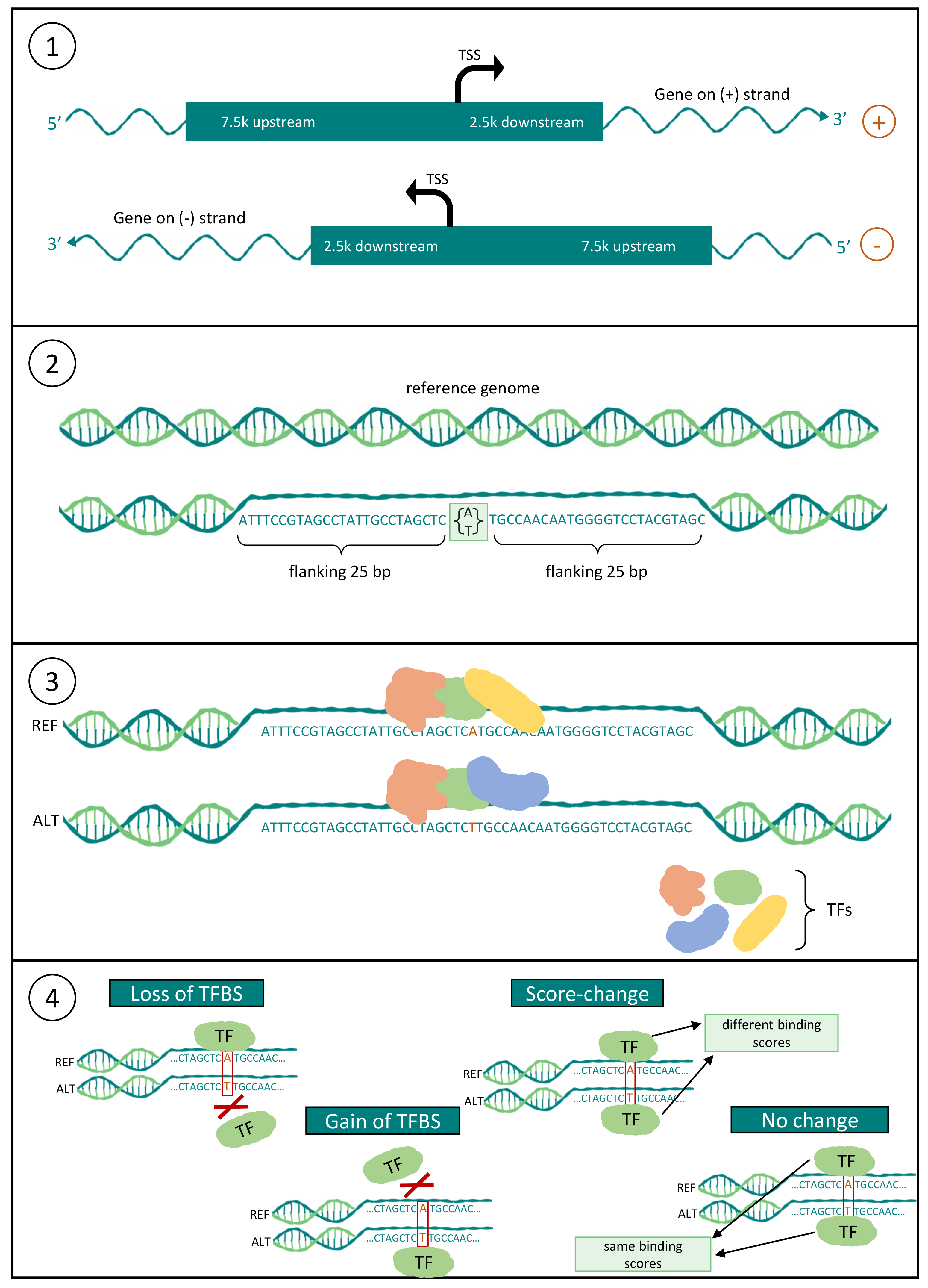 Biology 10 00790 g002
