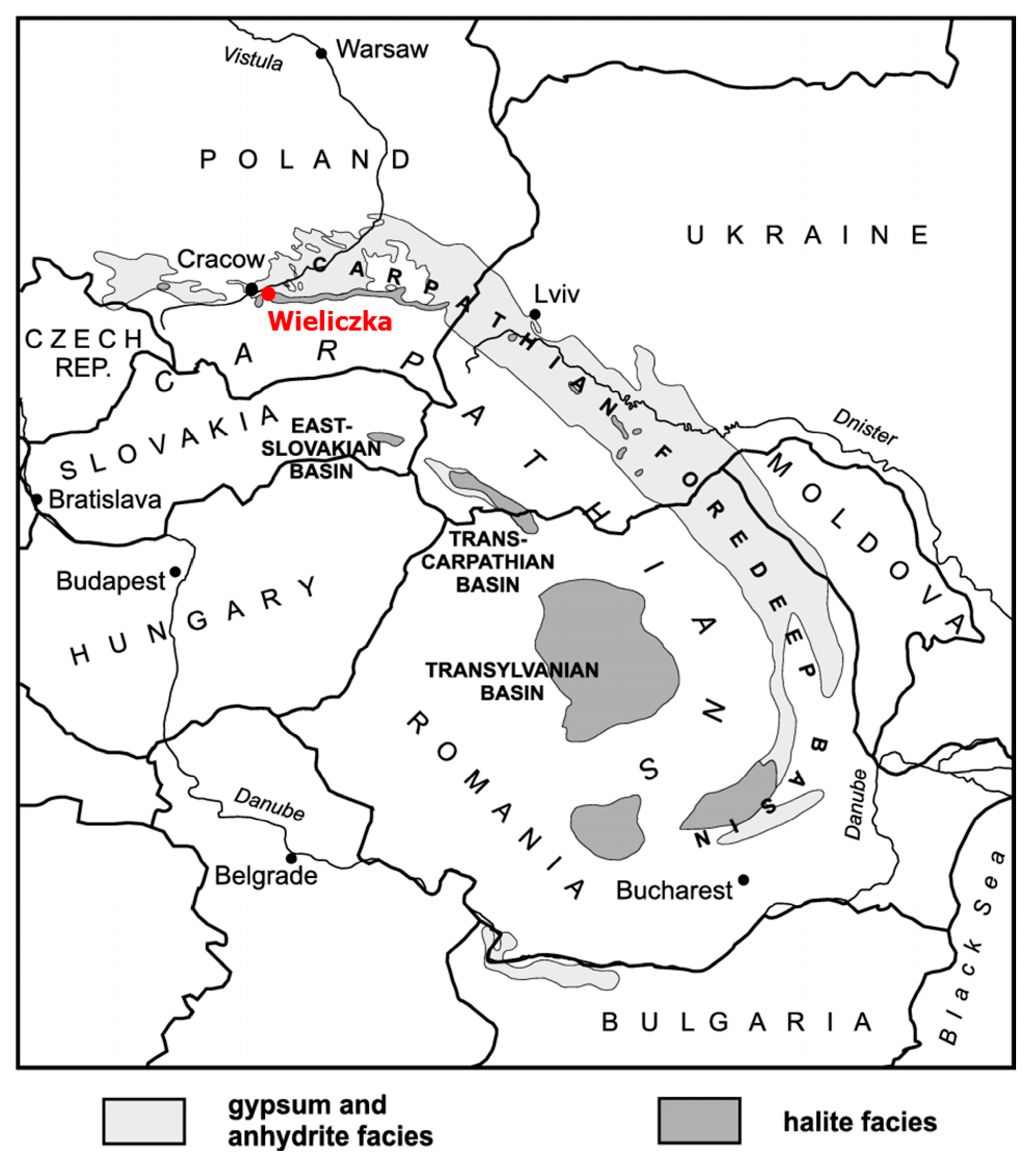 Biology 10 00792 g001 Biology 10 00792 g001