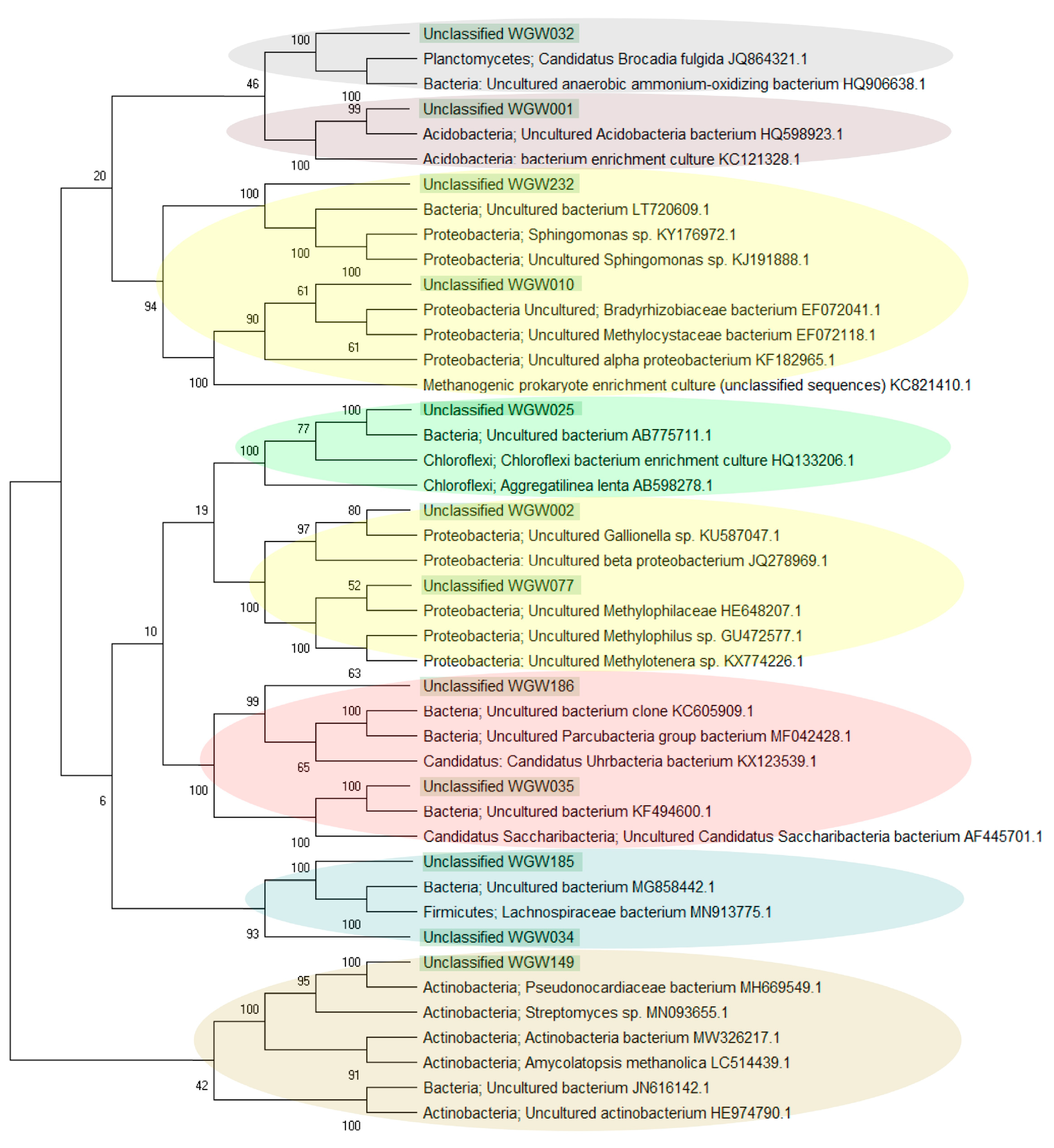 Biology 10 00792 g004 Biology 10 00792 g004