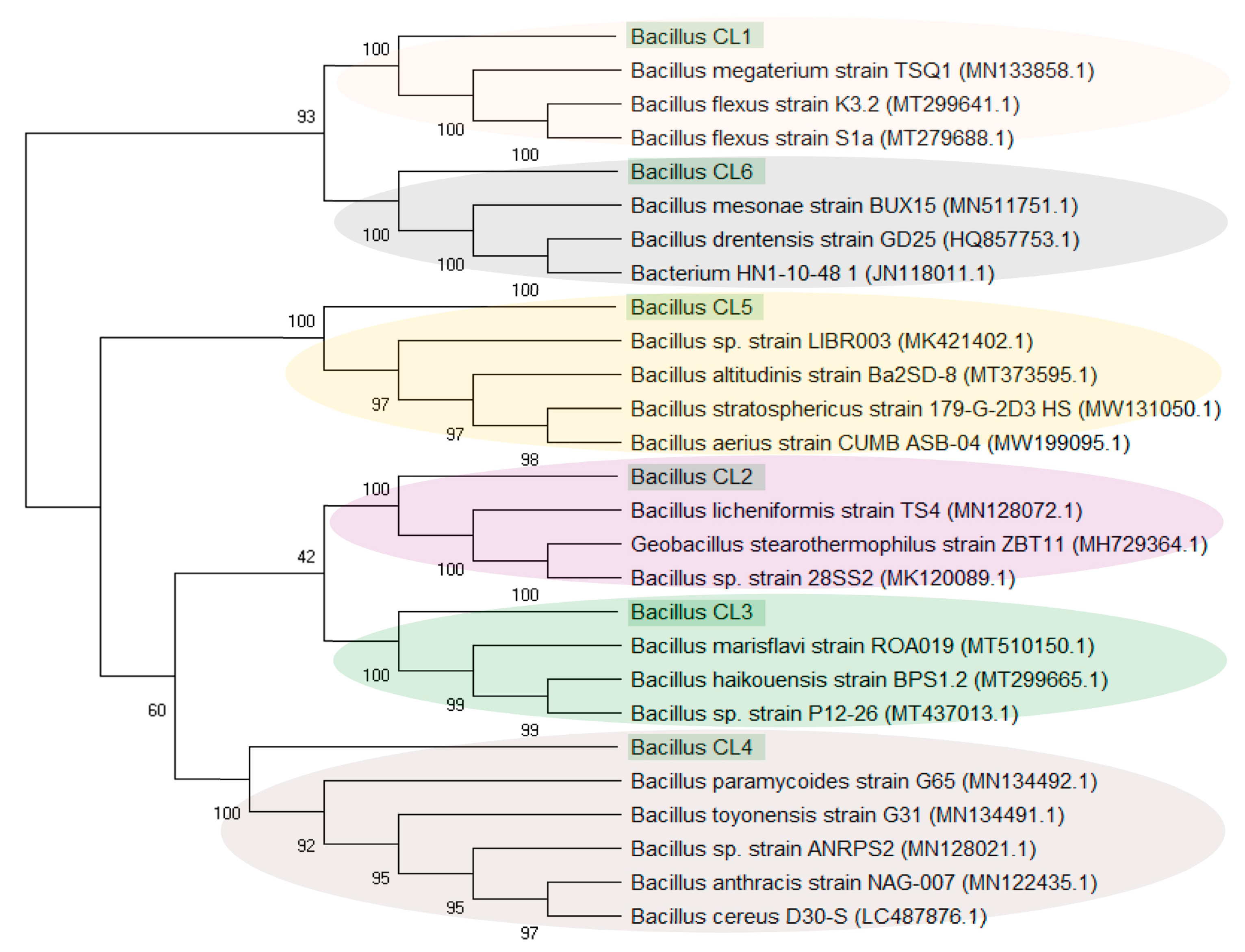 Biology 10 00792 g006 Biology 10 00792 g006