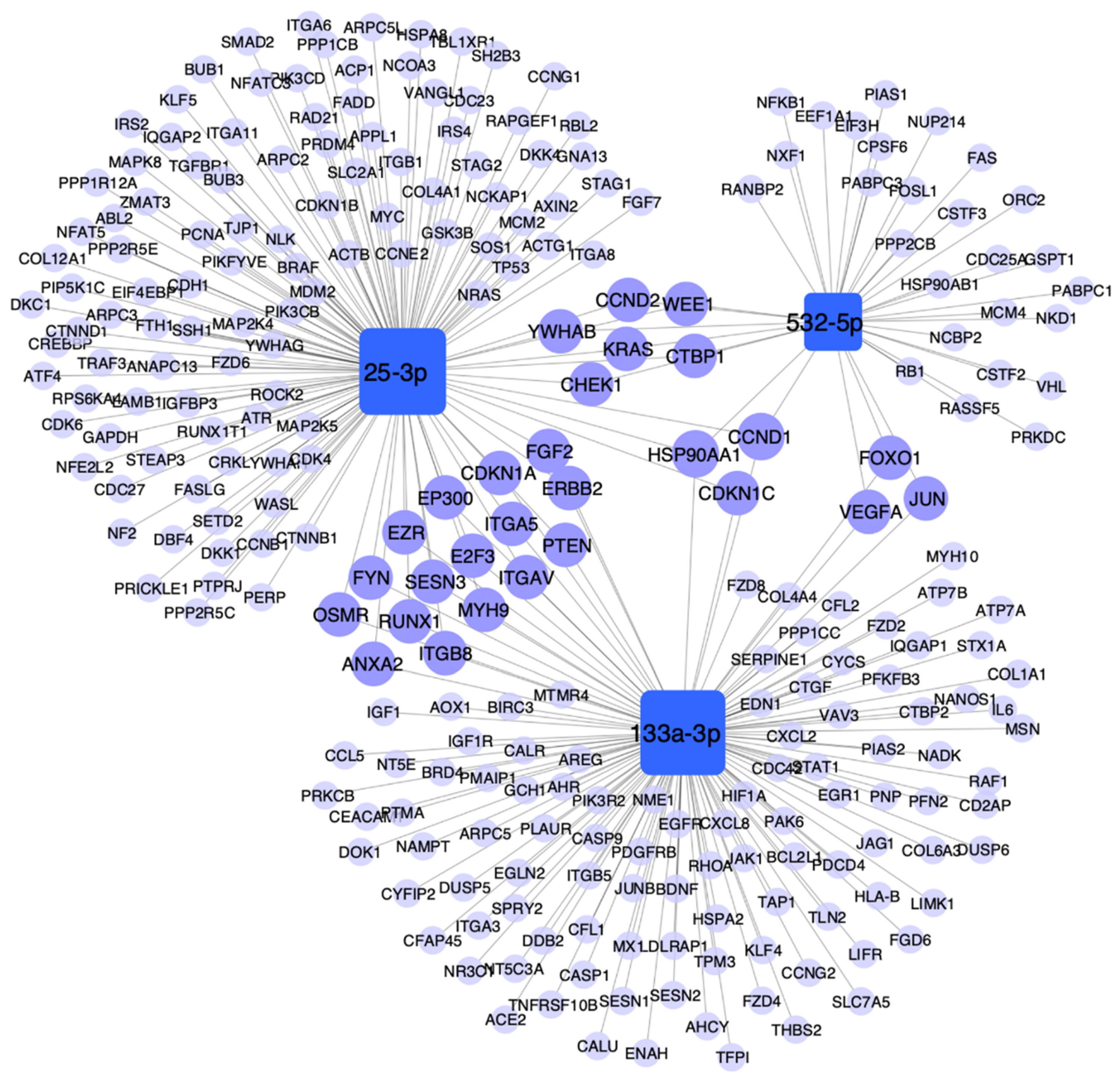 Biology 10 00793 g005
