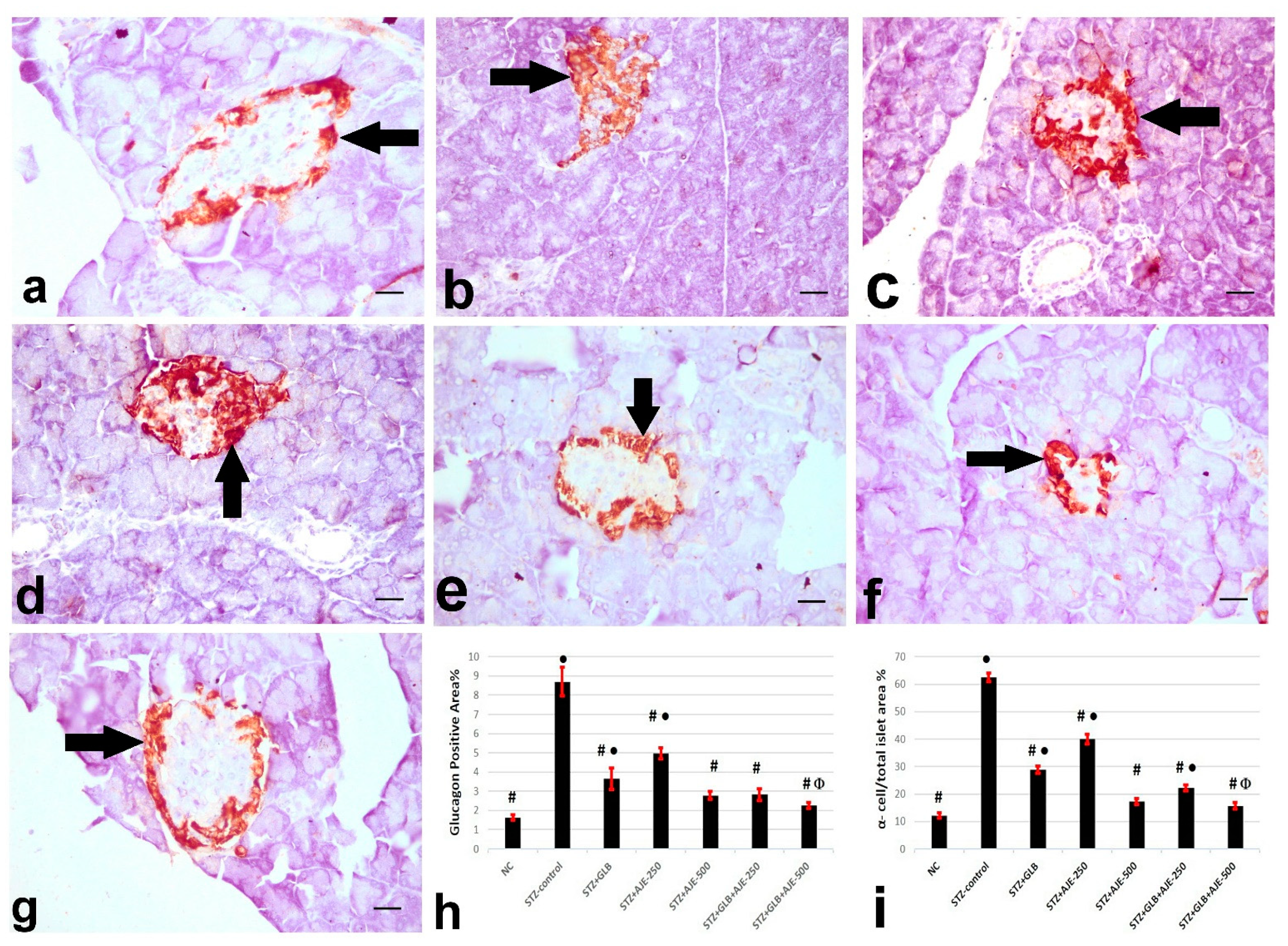 Biology 10 00796 g003