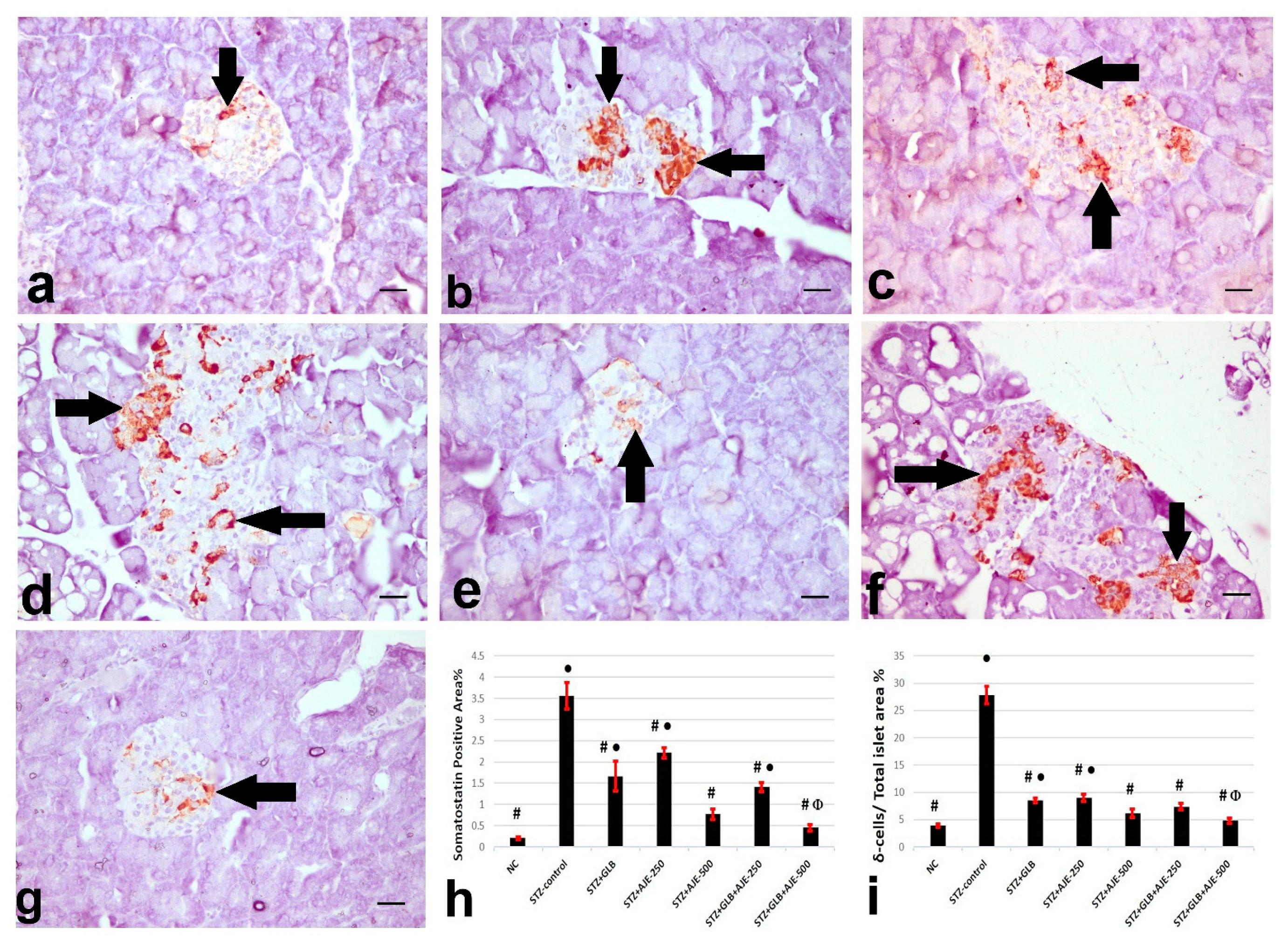 Biology 10 00796 g004