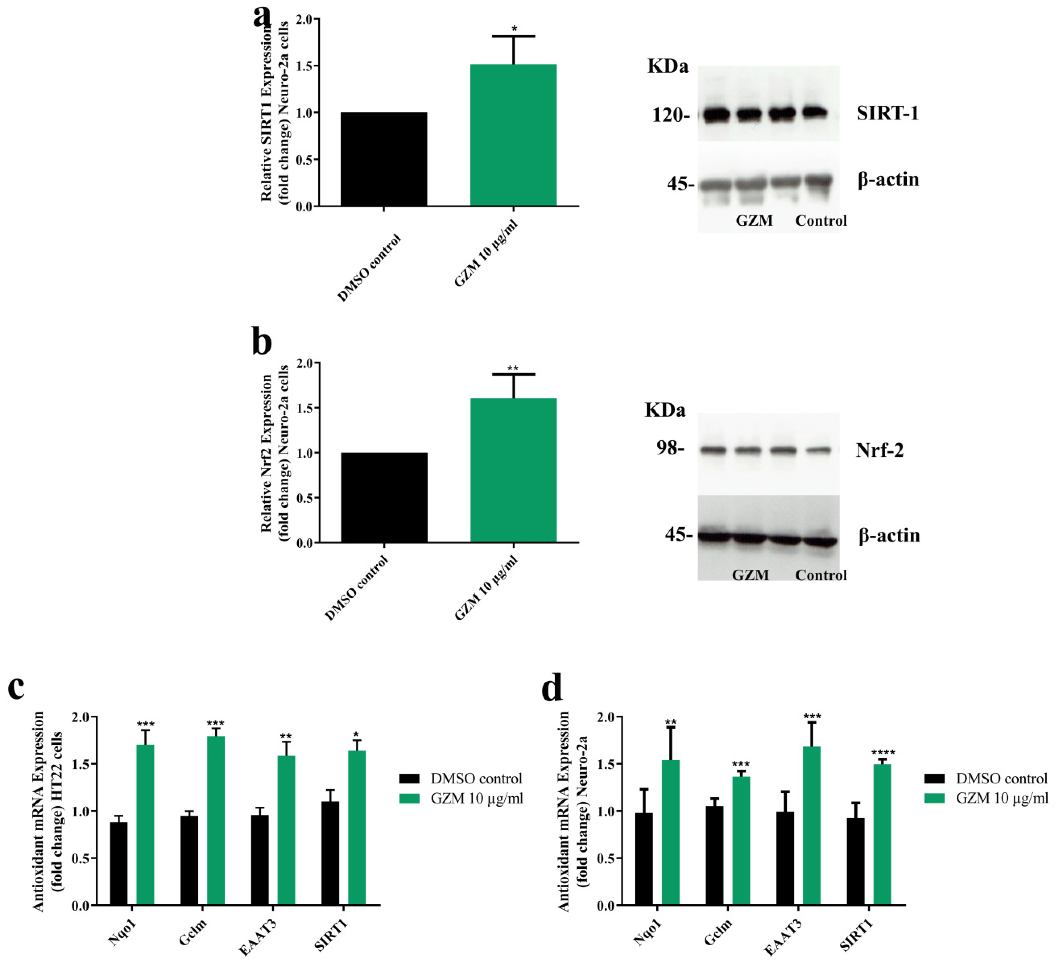 Biology 10 00800 g005