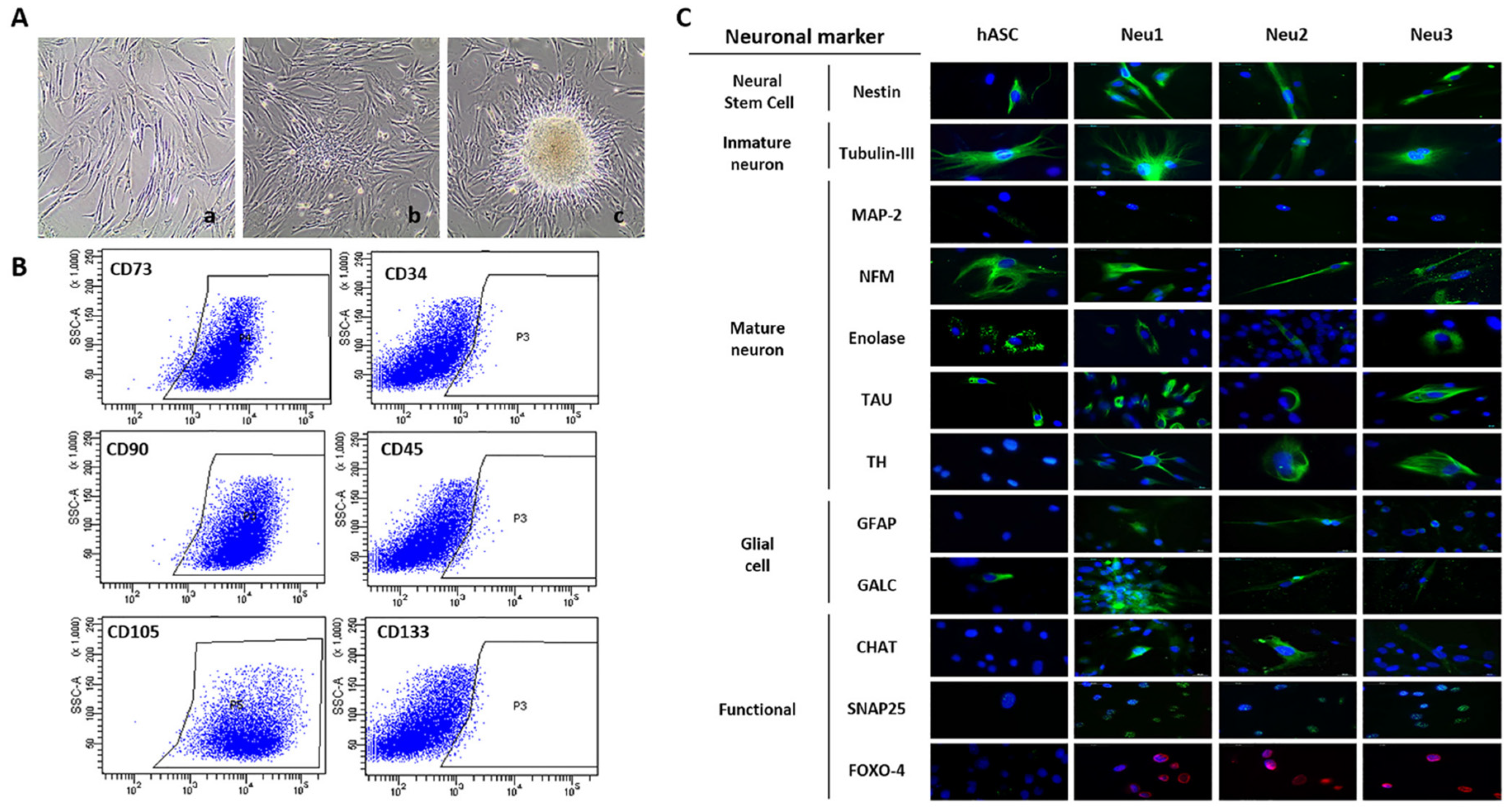 Biology 10 00802 g001 Biology 10 00802 g001