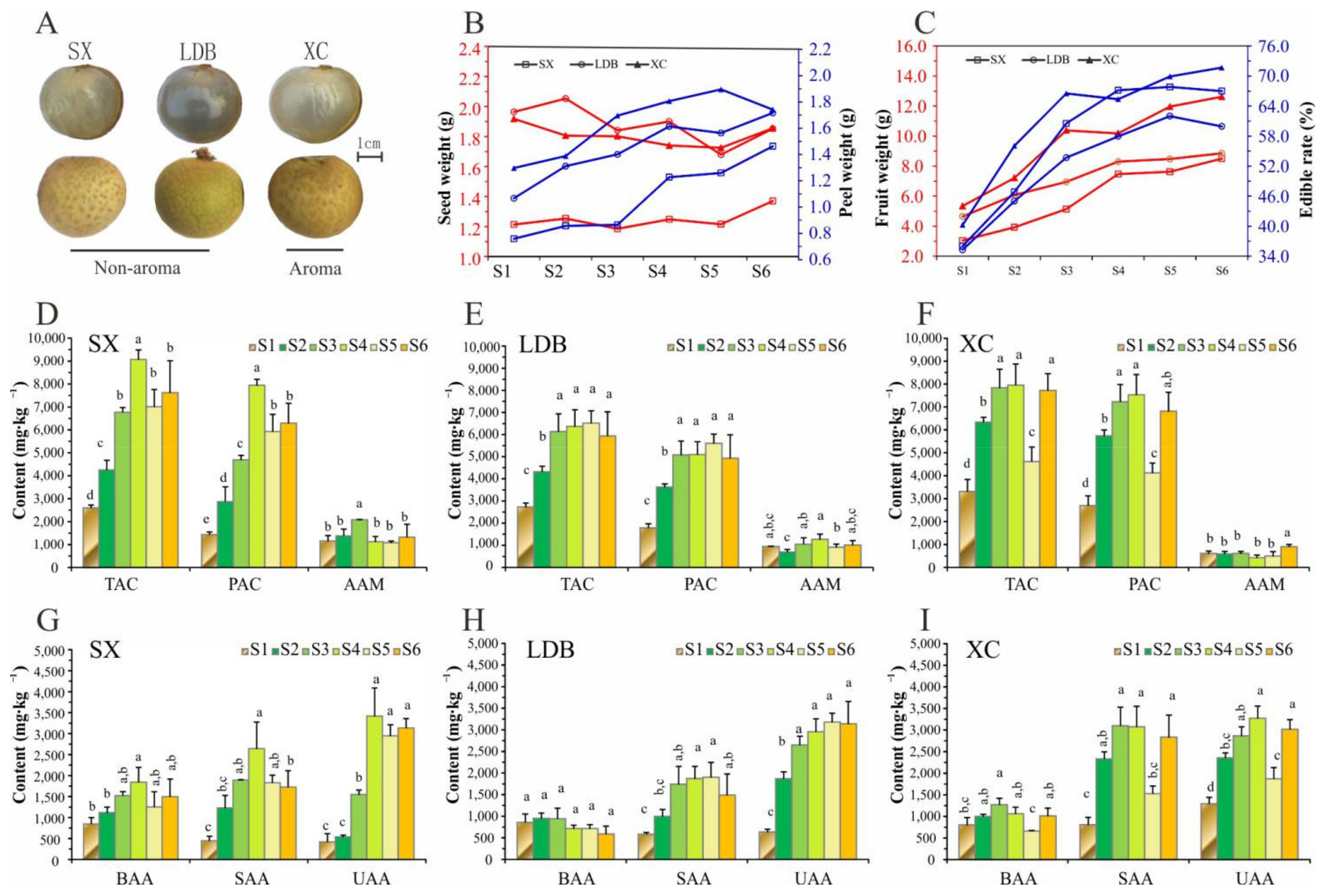 Biology 10 00807 g001 550