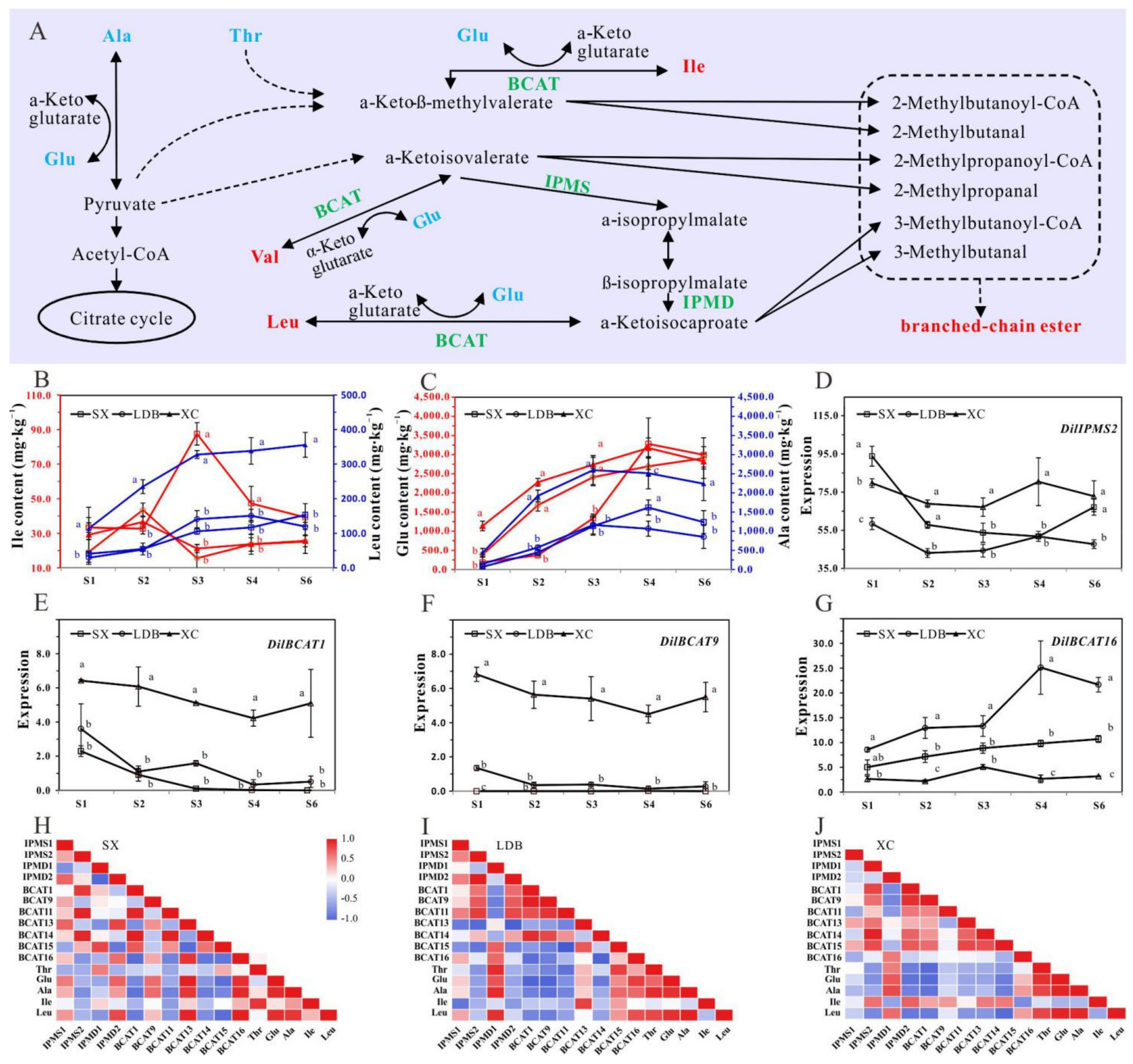 Biology 10 00807 g003 550