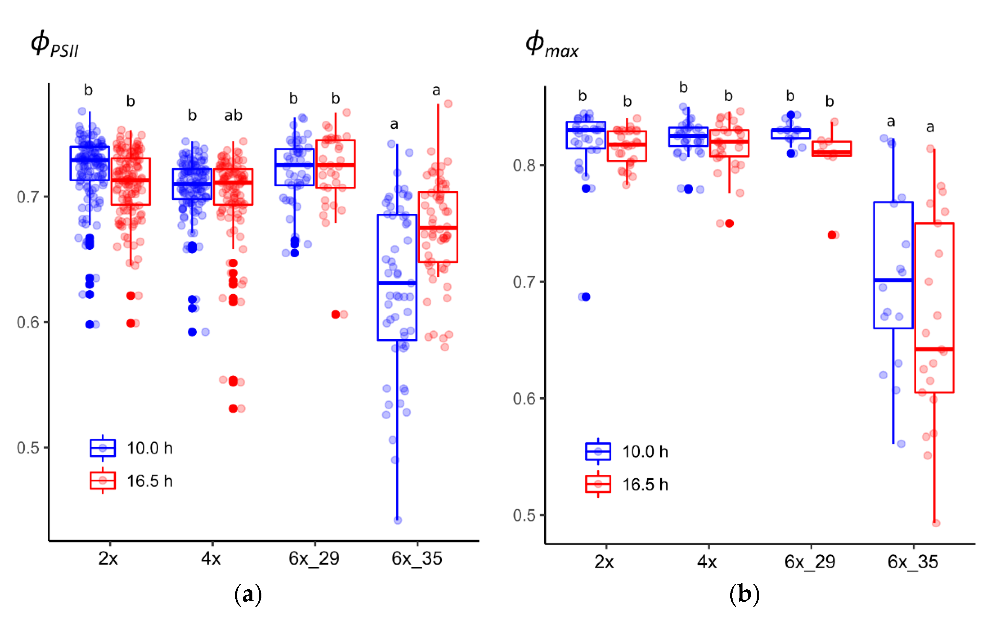 Biology 10 00811 g001