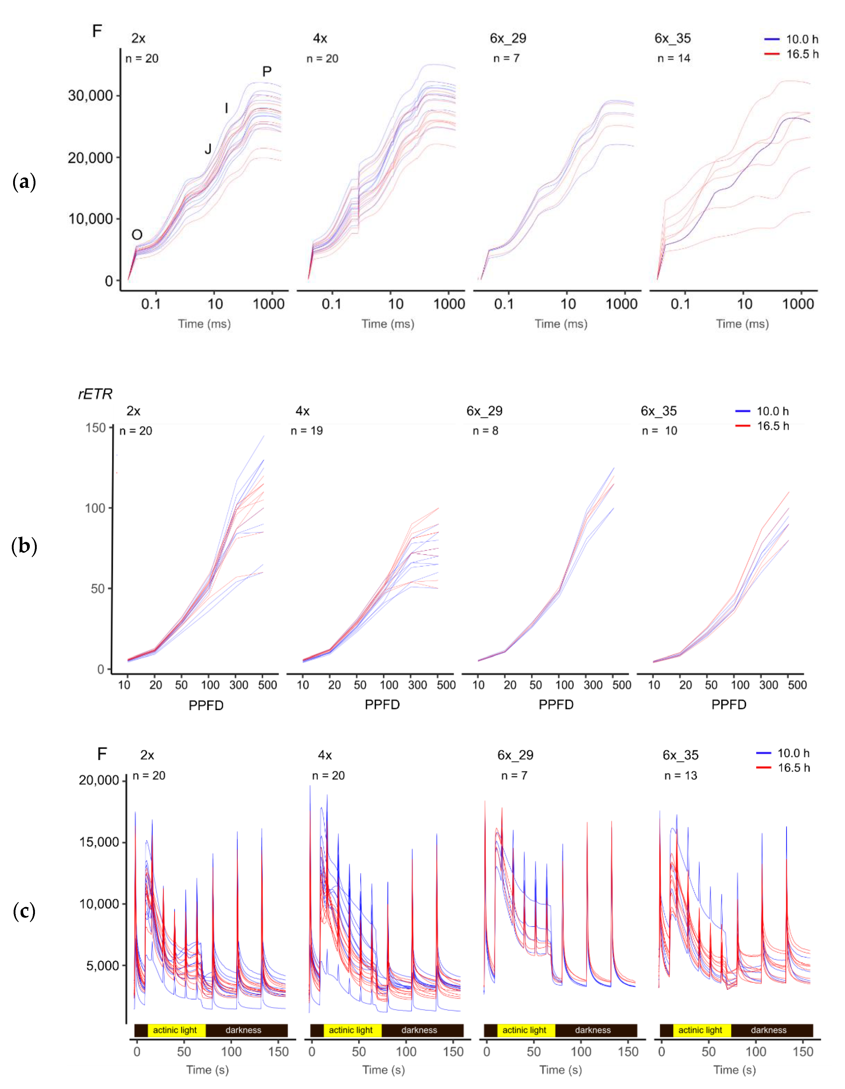 Biology 10 00811 g002