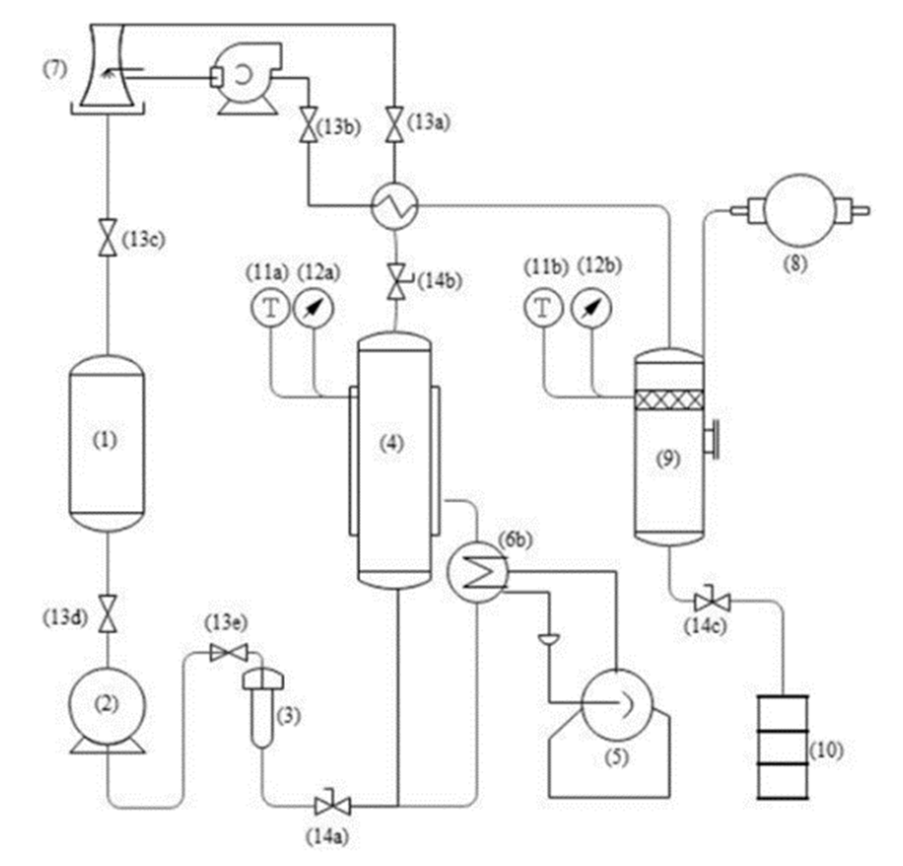 Biology 10 00815 g001