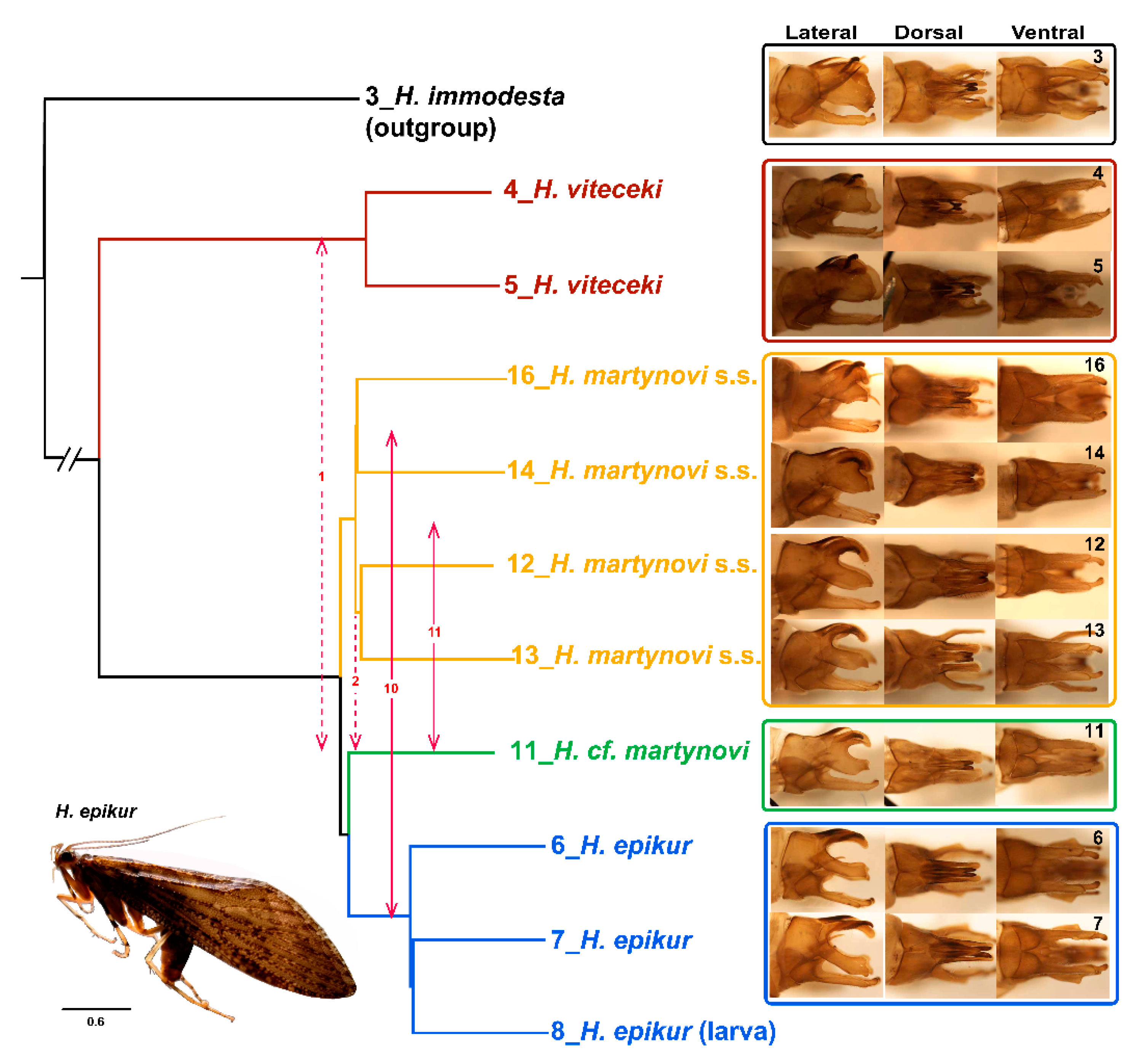 Biology 10 00816 g004 Biology 10 00816 g004