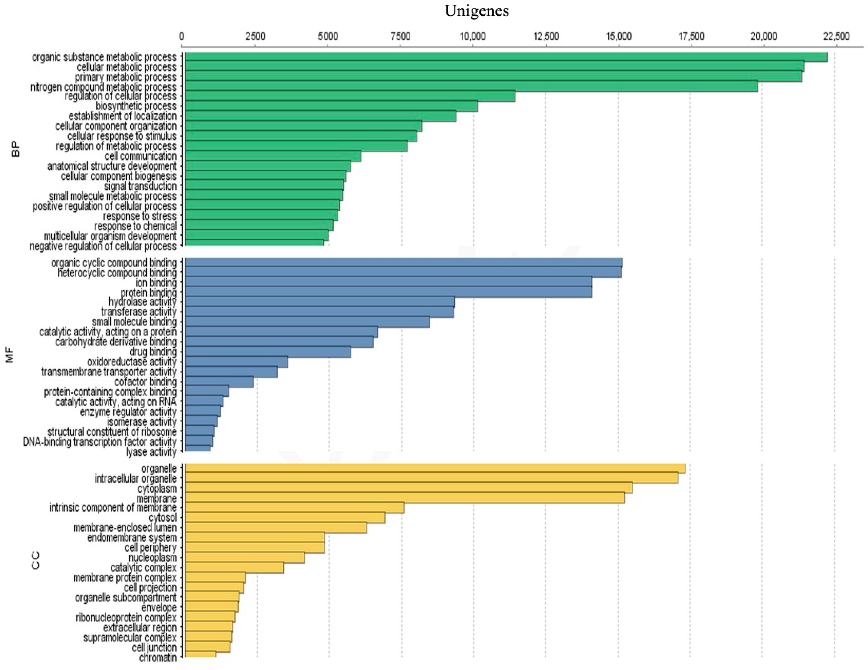 Biology 10 00826 g003 550