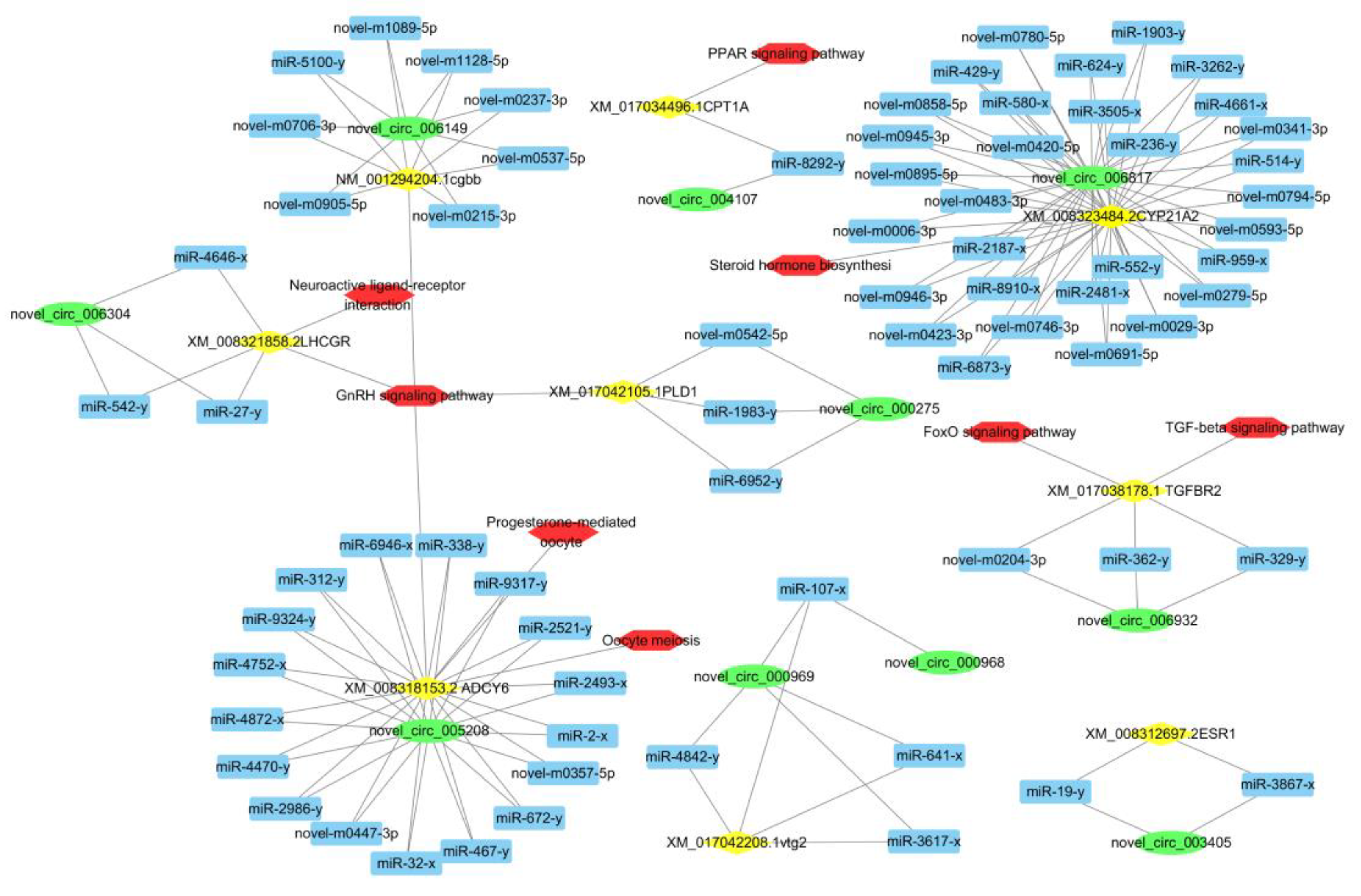 Biology 10 00830 g005 Biology 10 00830 g005