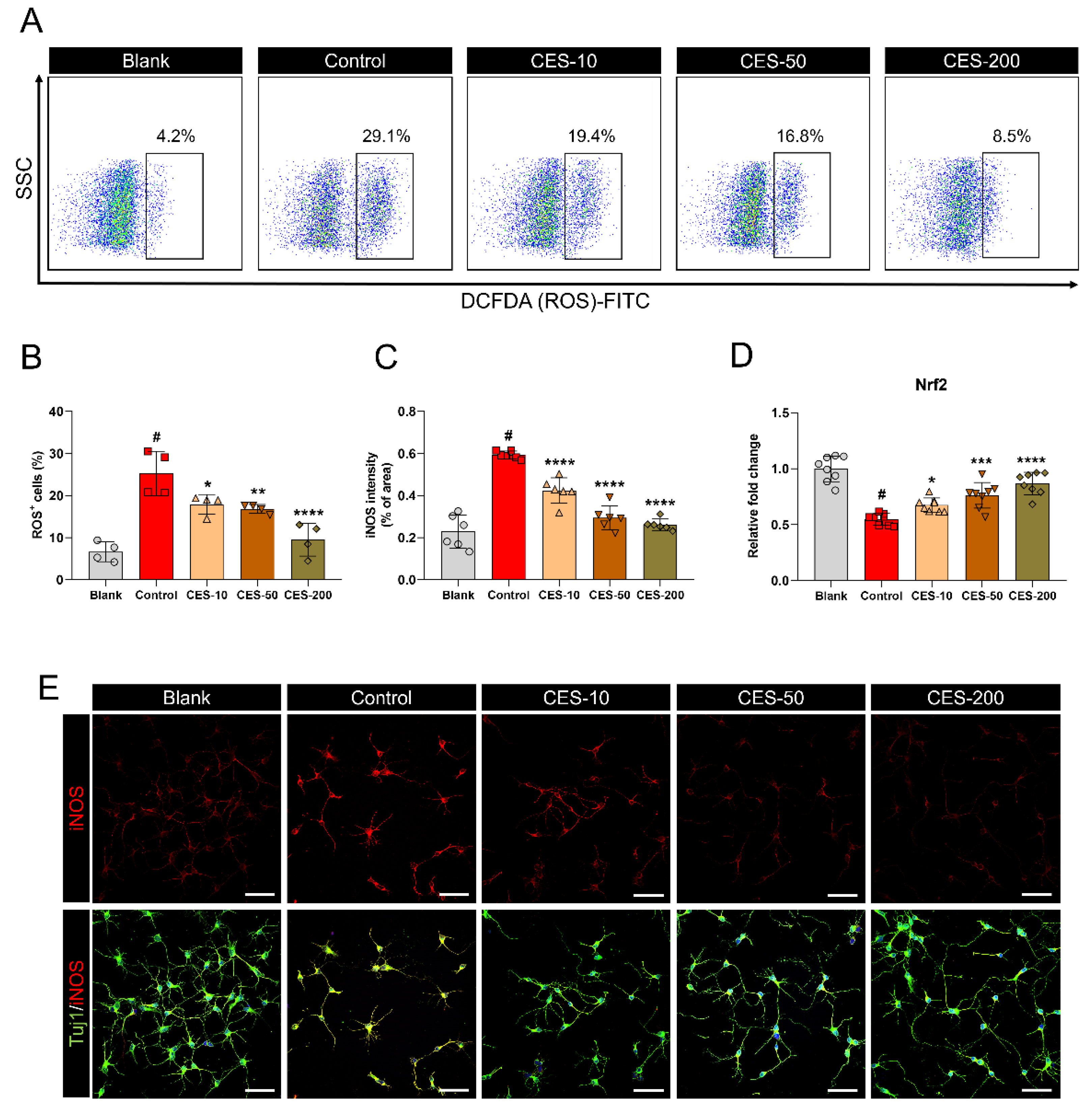 Biology 10 00833 g002