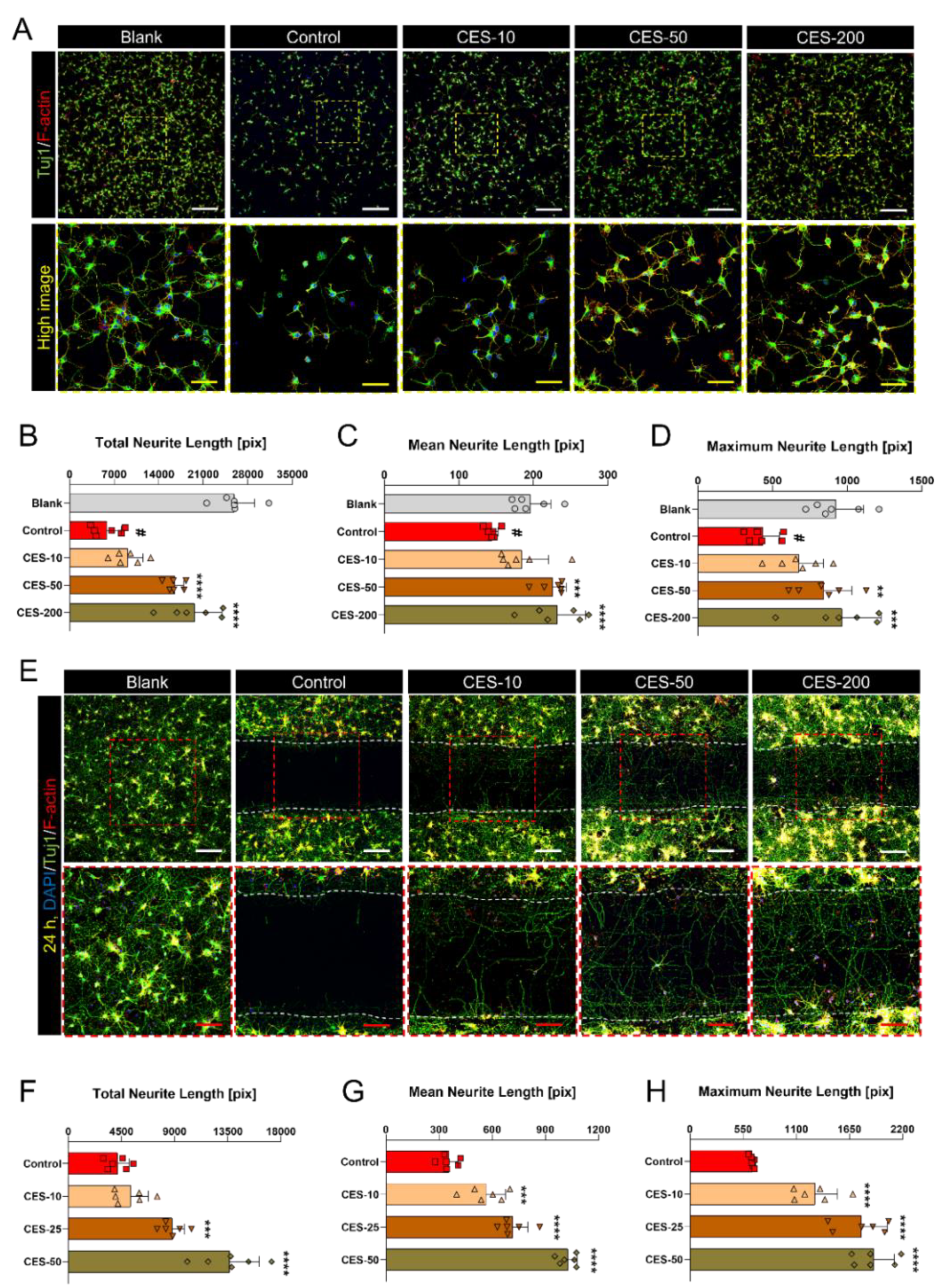 Biology 10 00833 g003