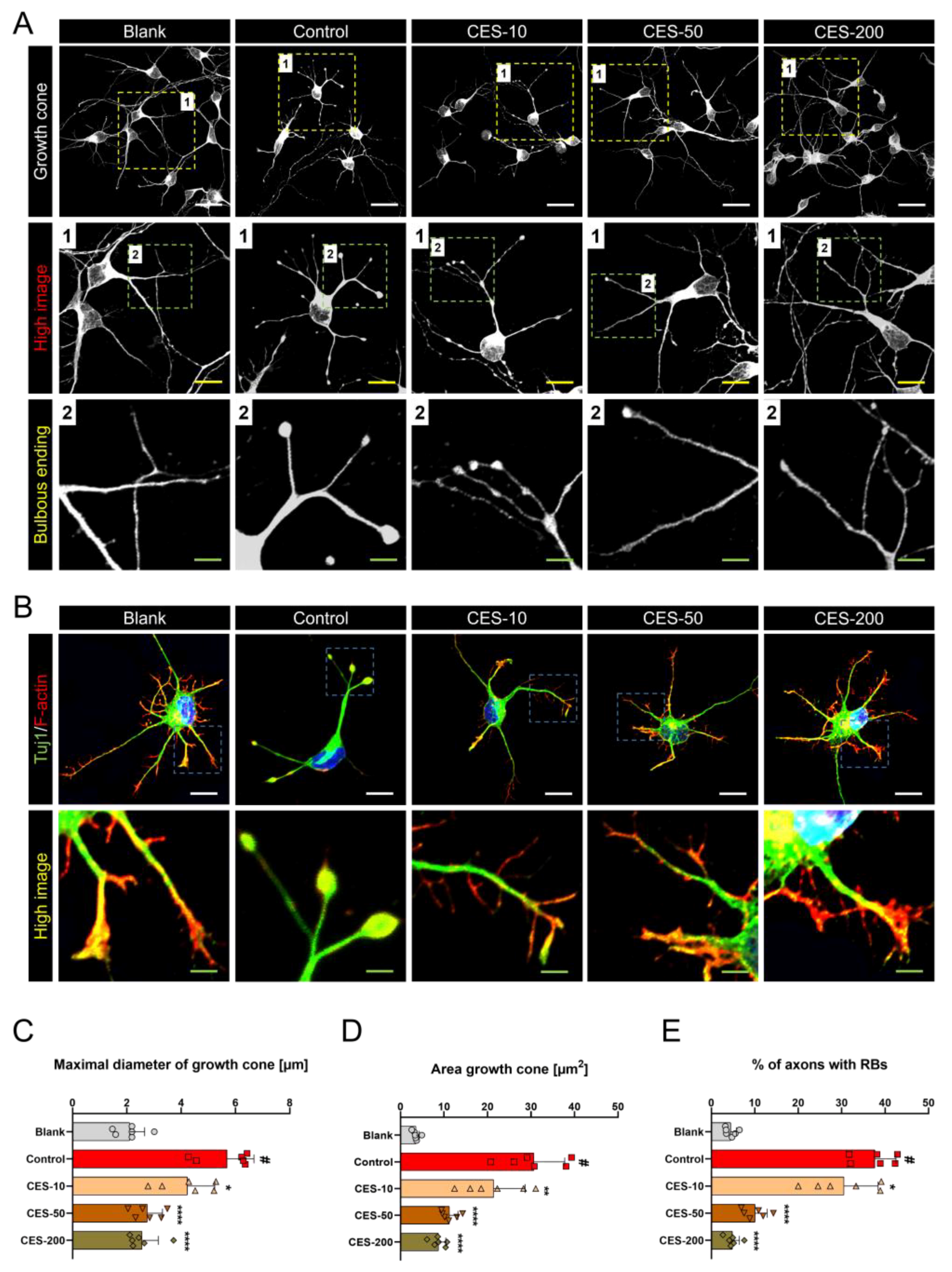 Biology 10 00833 g004