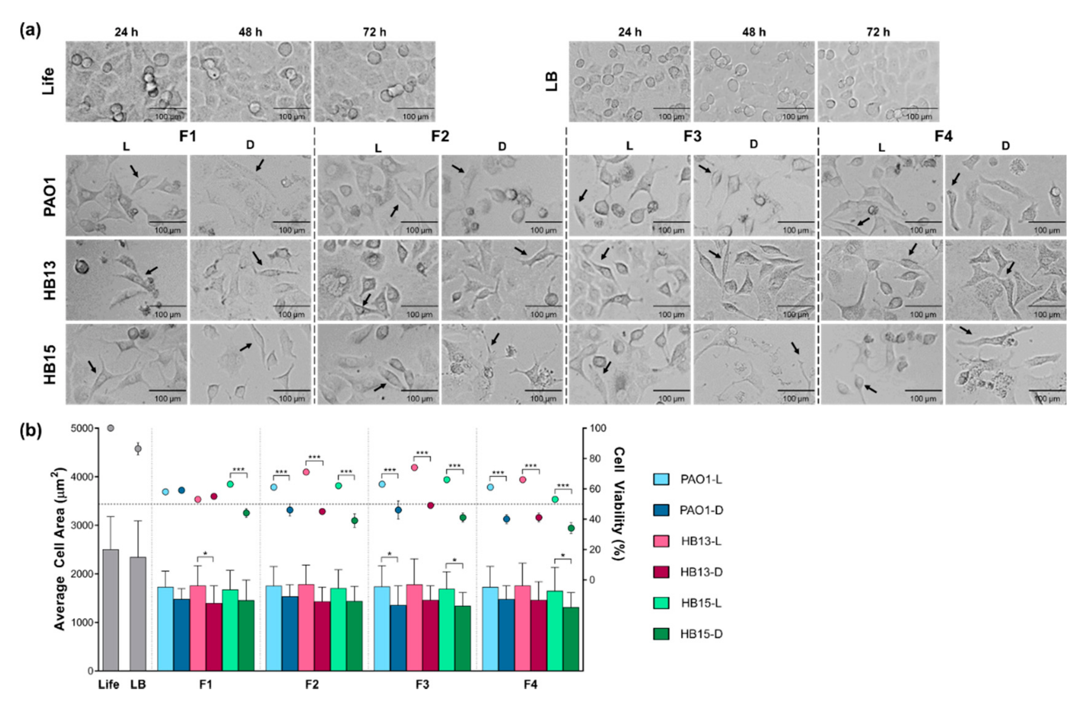 Biology 10 00837 g003