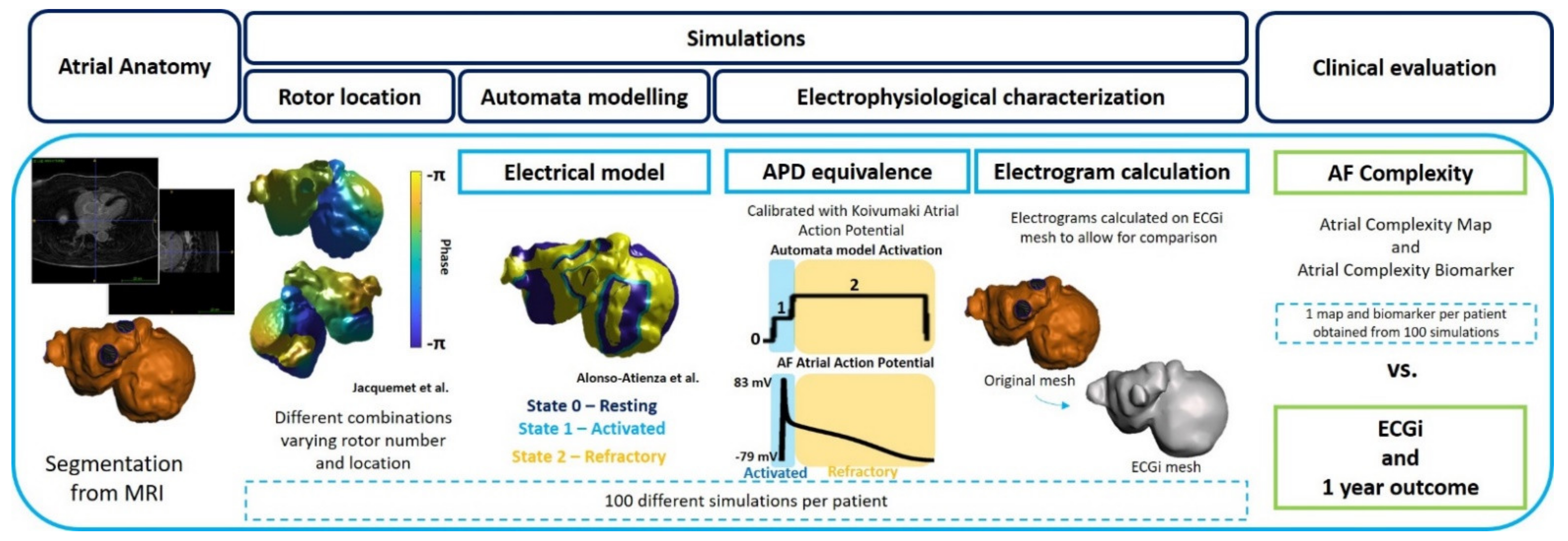 Biology 10 00838 g001