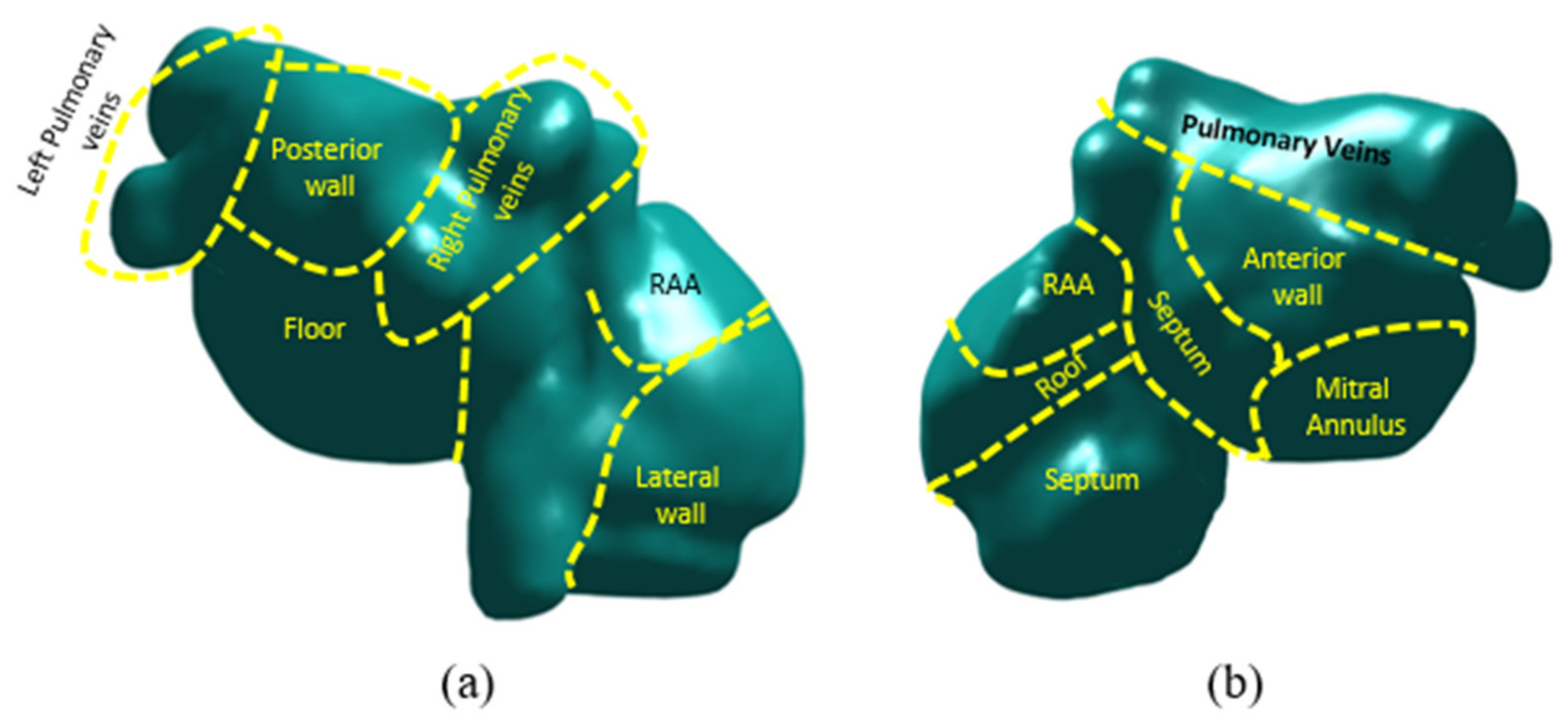 Biology 10 00838 g002