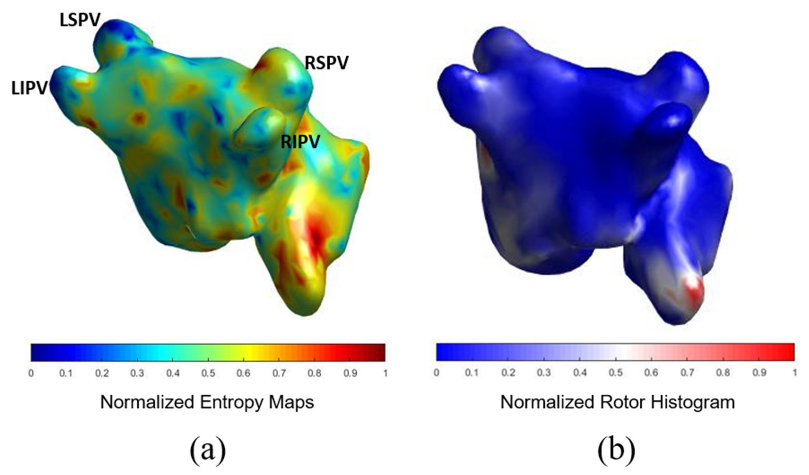 Biology 10 00838 g003