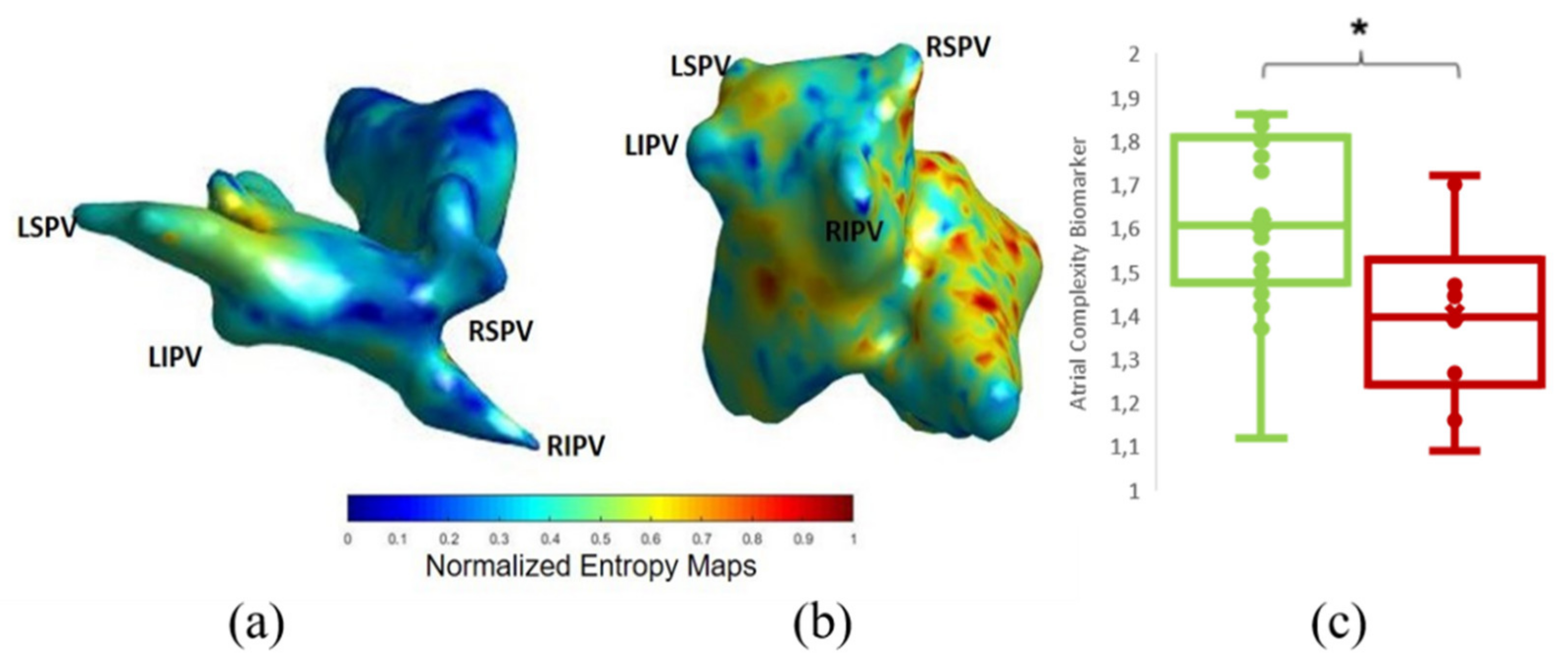 Biology 10 00838 g004