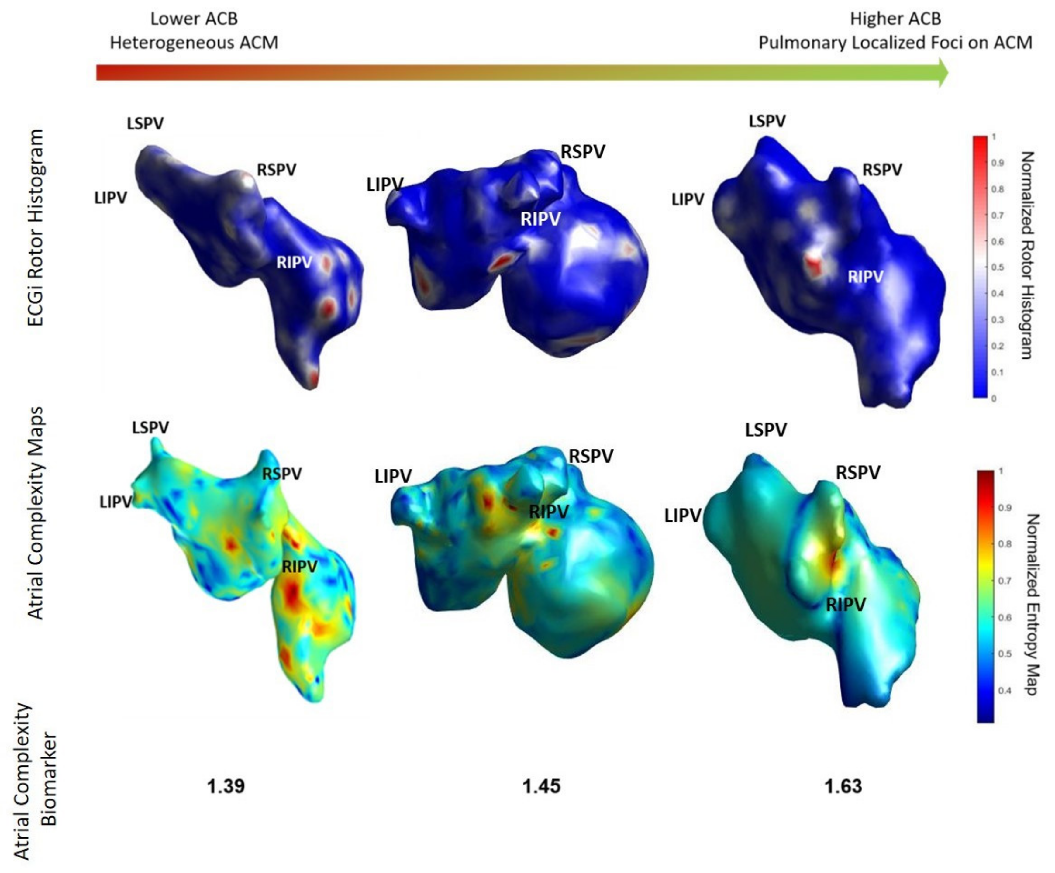 Biology 10 00838 g006