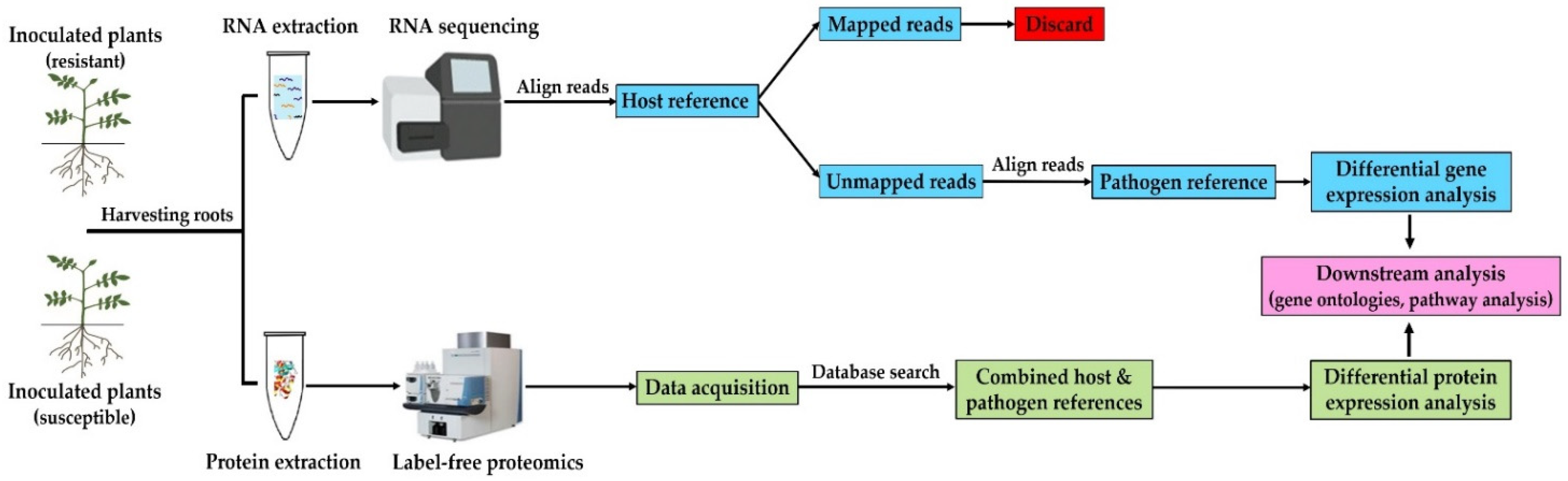 Biology 10 00840 g001